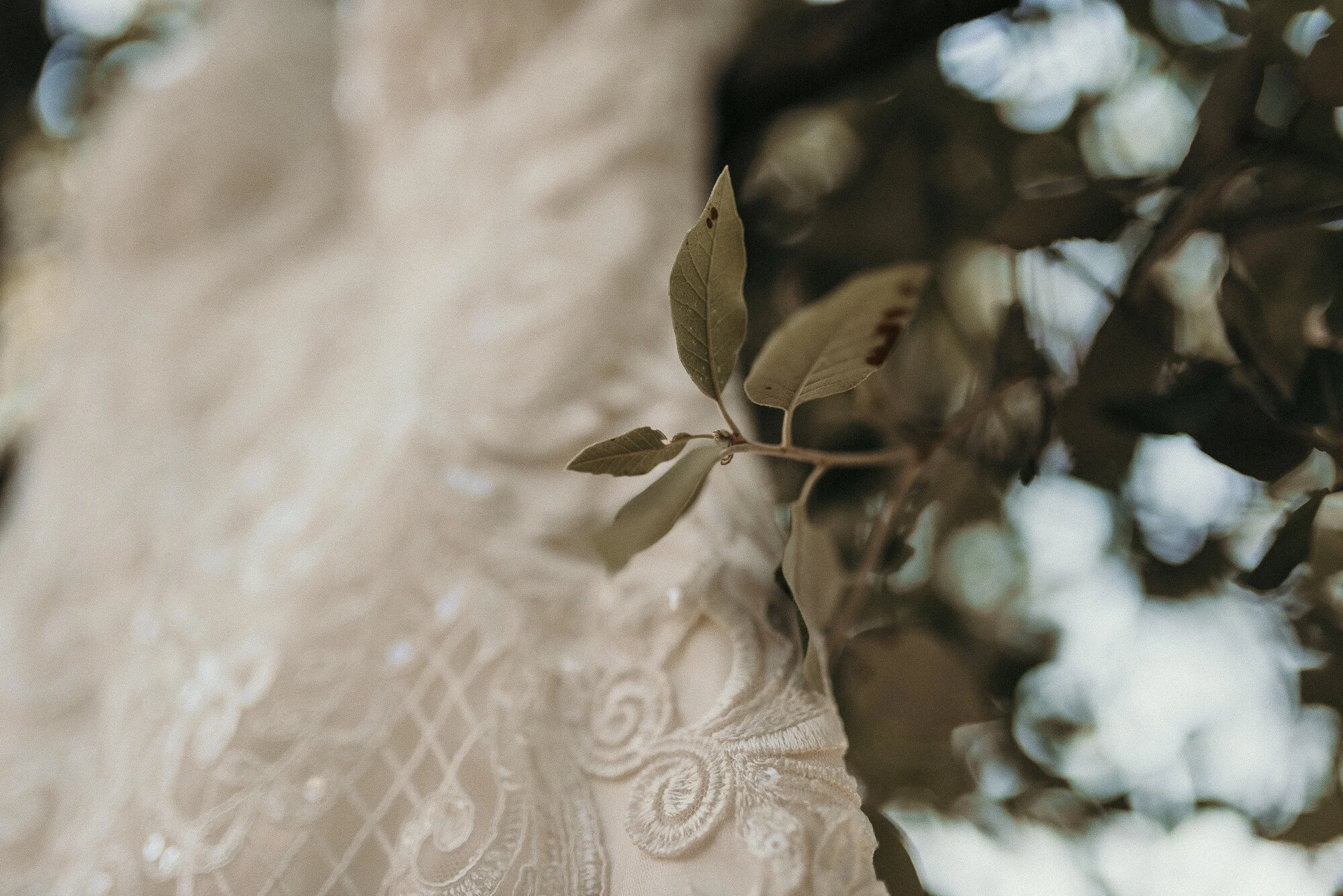 ANDREA DAVE OPAL LABS WEDDINGS NOMAD FILMS CROATIA ZAGREB  (6 of 166).JPG