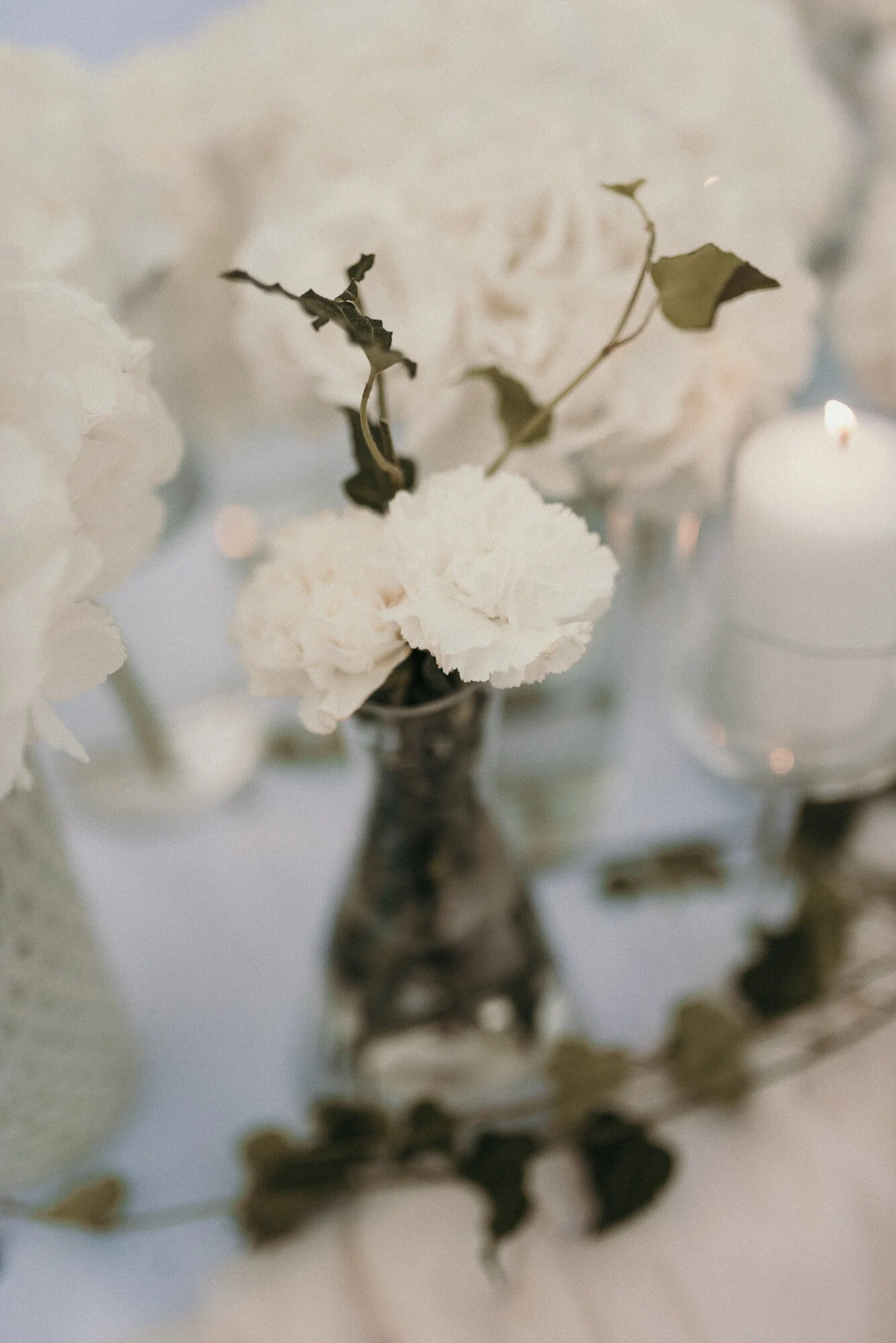 ANDREA I DAVE OPAL LABS WEDDINGS NOMAD FILMS CROATIA ZAGREB  (30 of 67).JPG