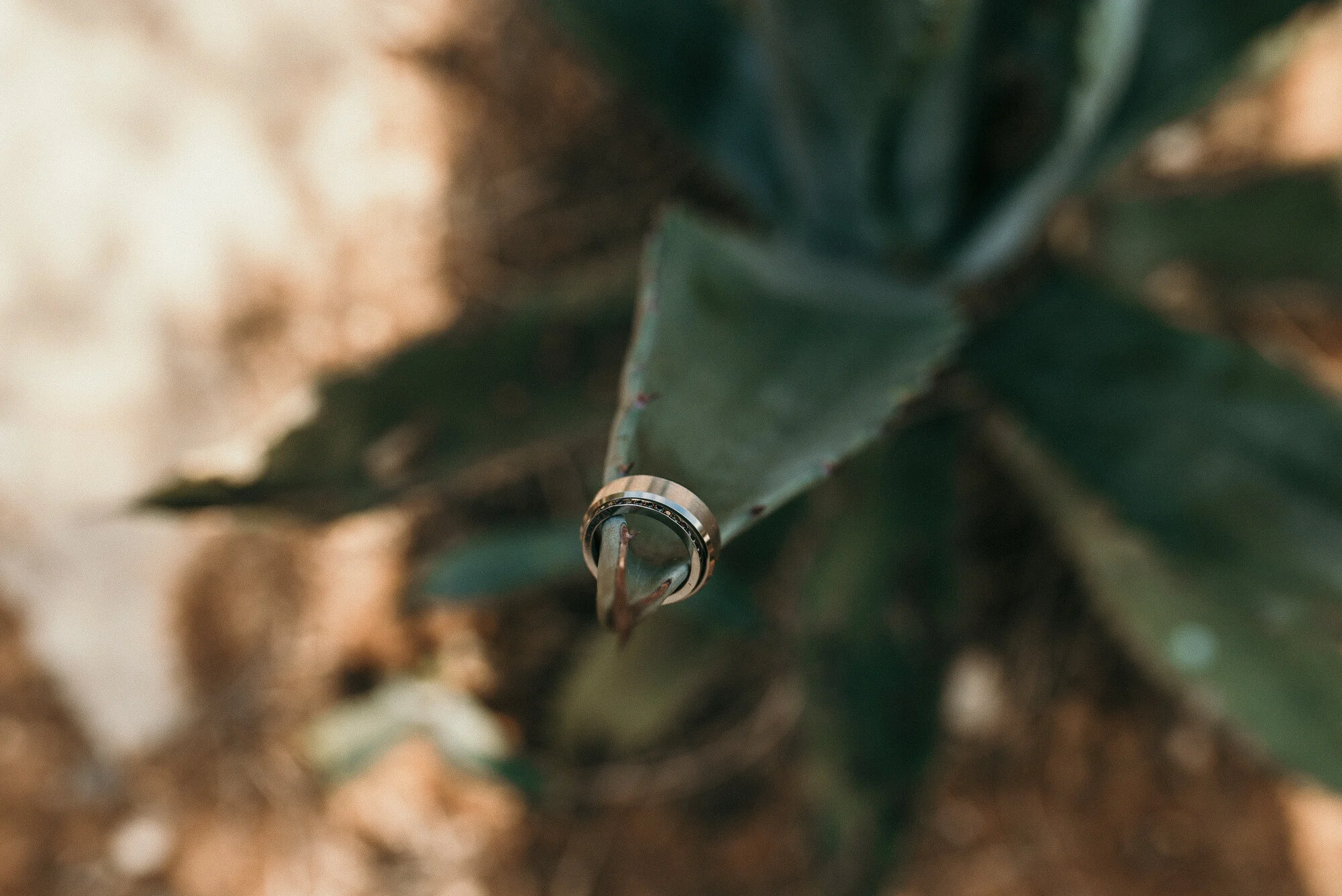 JOANNE JACK OPAL LABS WEDDINGS NOMAD FILMS CROATIA ZAGREB  (26 of 175).JPG