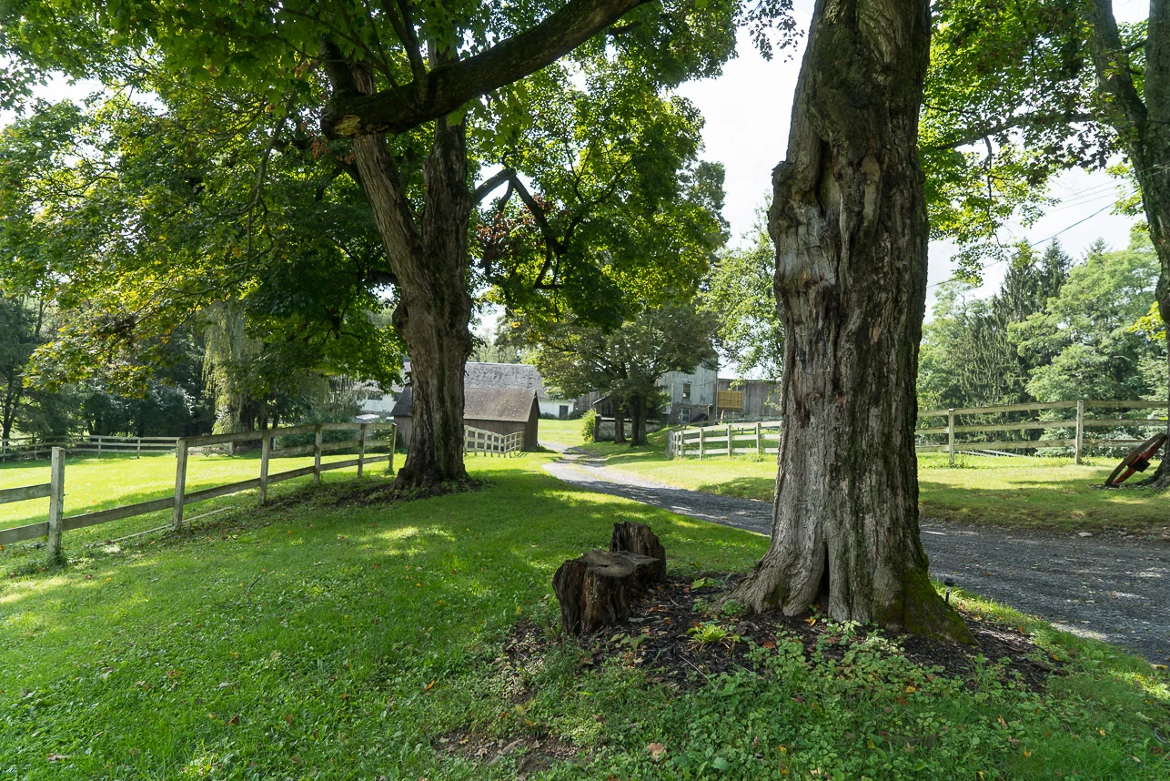 viewfromporch.jpg