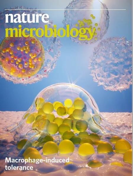 Reactive oxygen species induce antibiotic tolerance during systemic Staphylococcus aureus infection