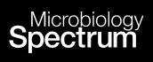 Antibiotic Tolerance and Treatment Outcomes in Cystic Fibrosis Methicillin-Resistant Staphylococcus aureus Infections