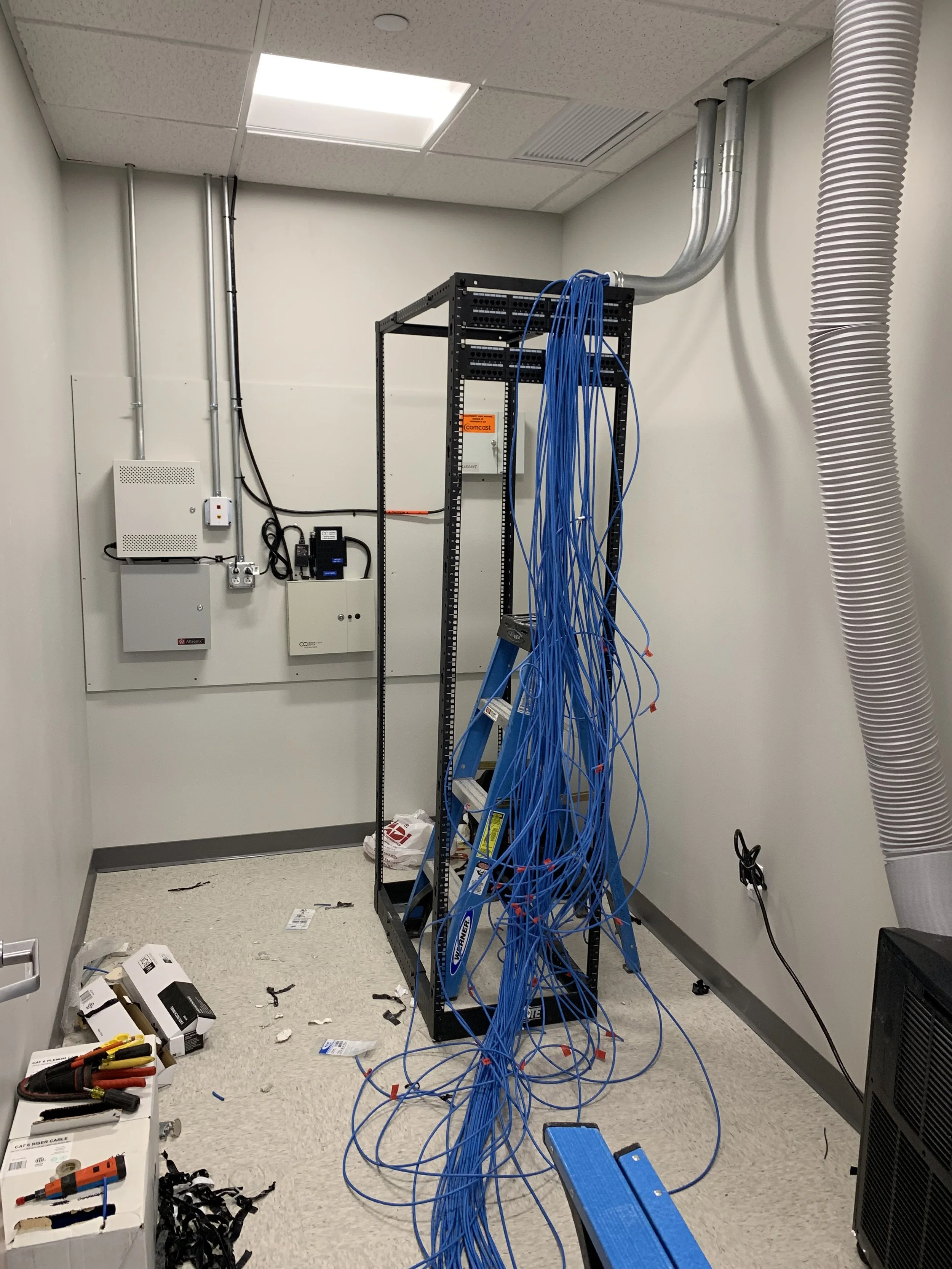 Cat6.jpg