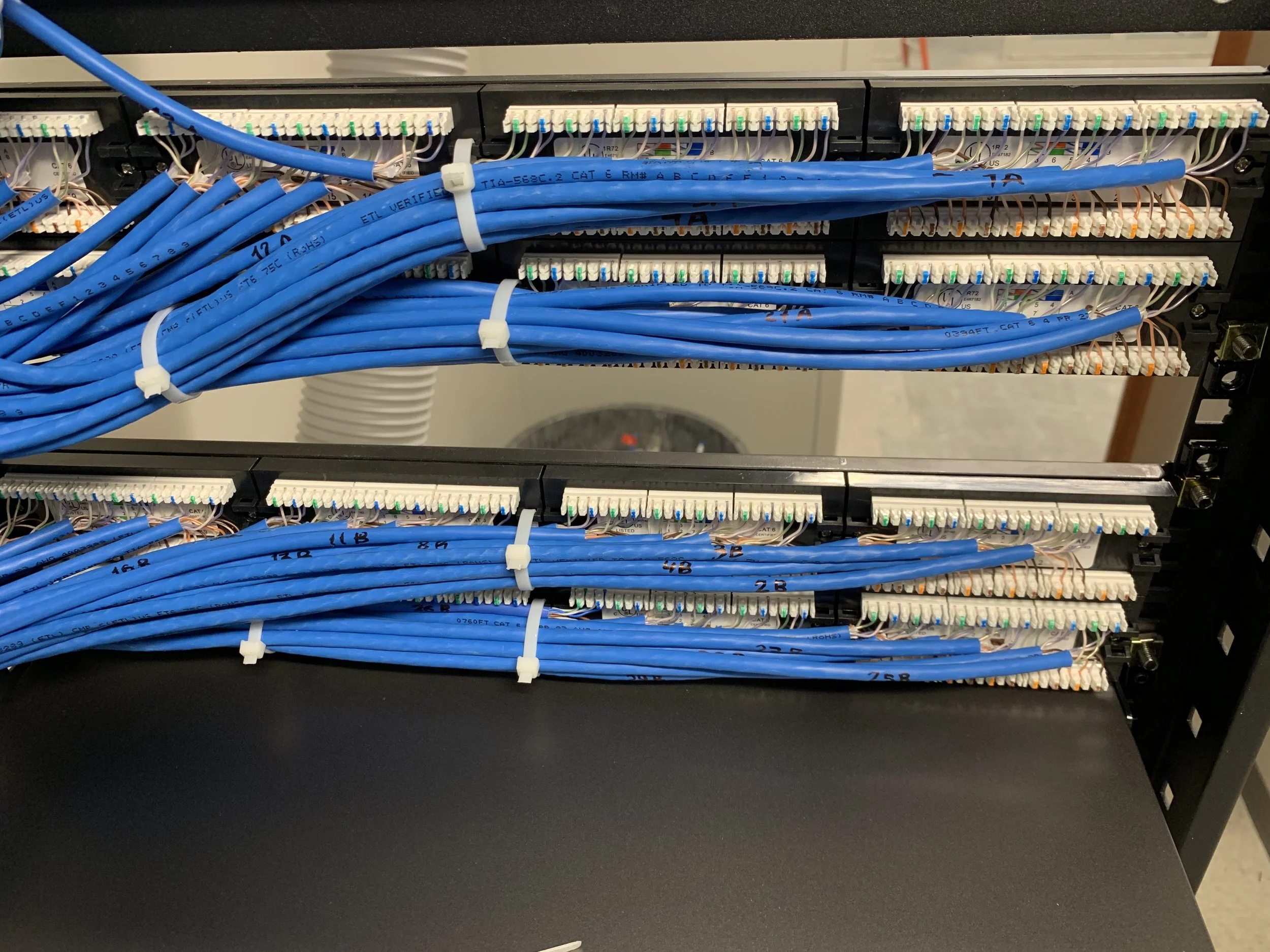 Cat6 2.jpg