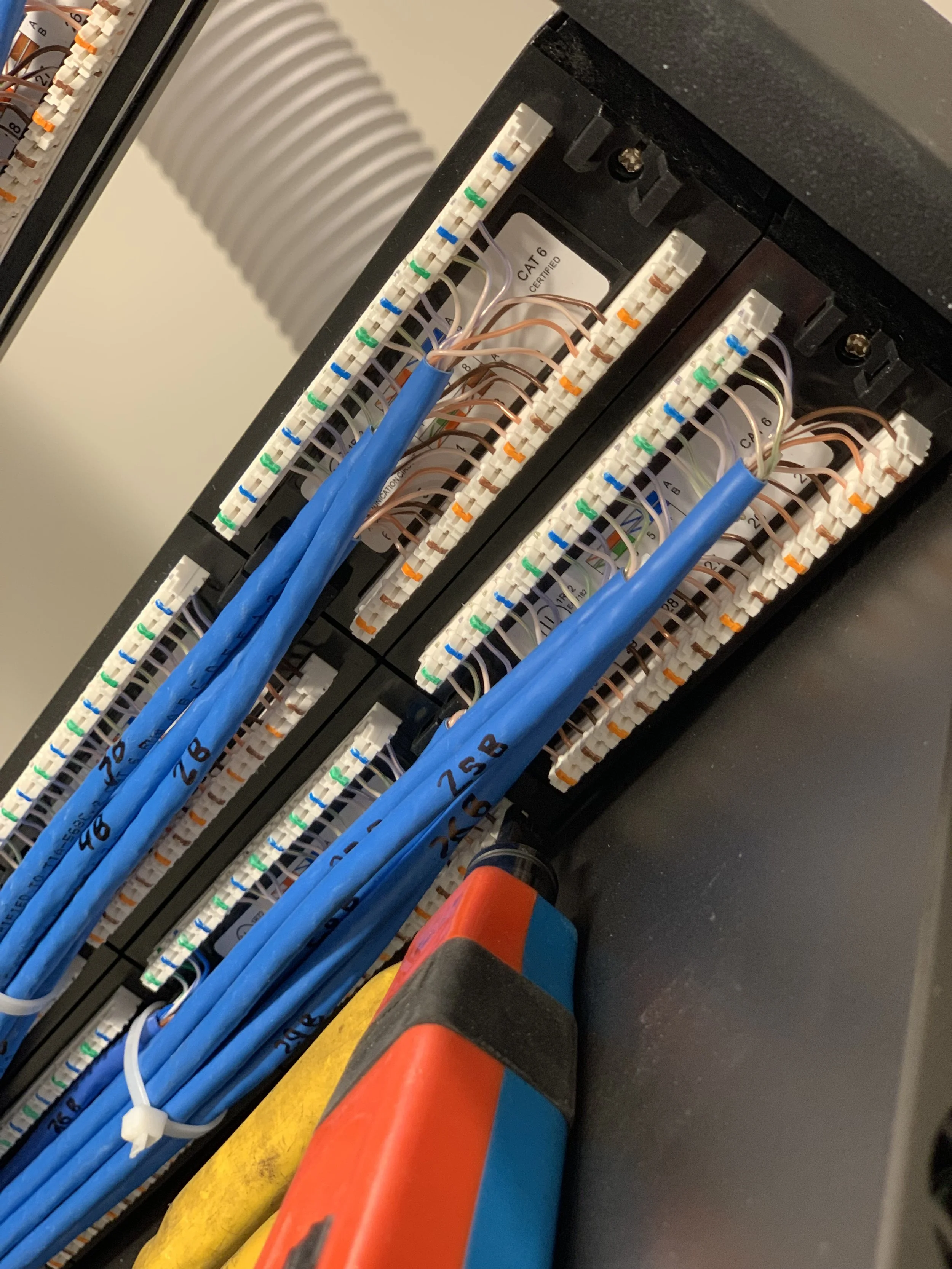 Cat6 3.jpg
