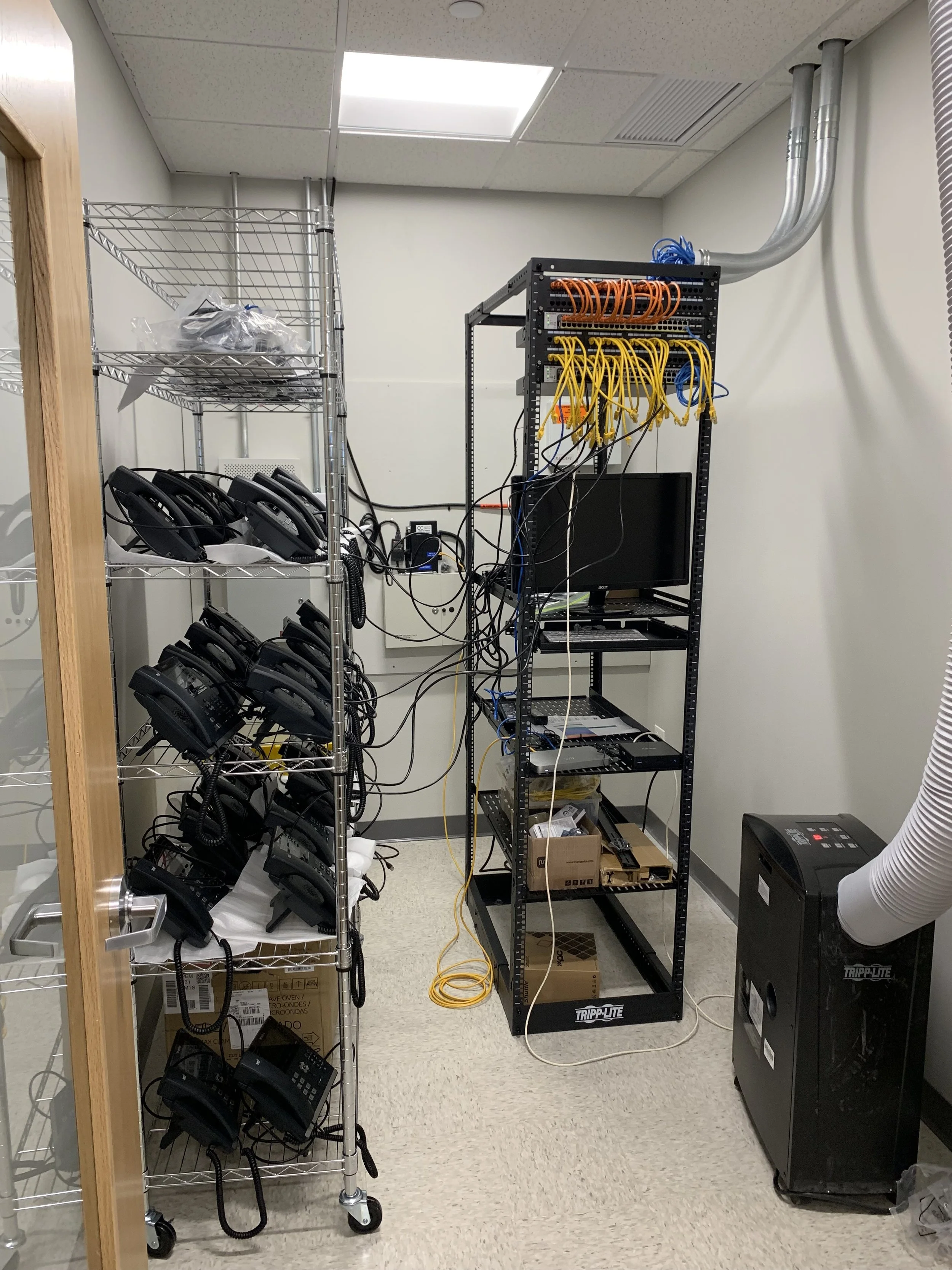 Cat6 6.jpg