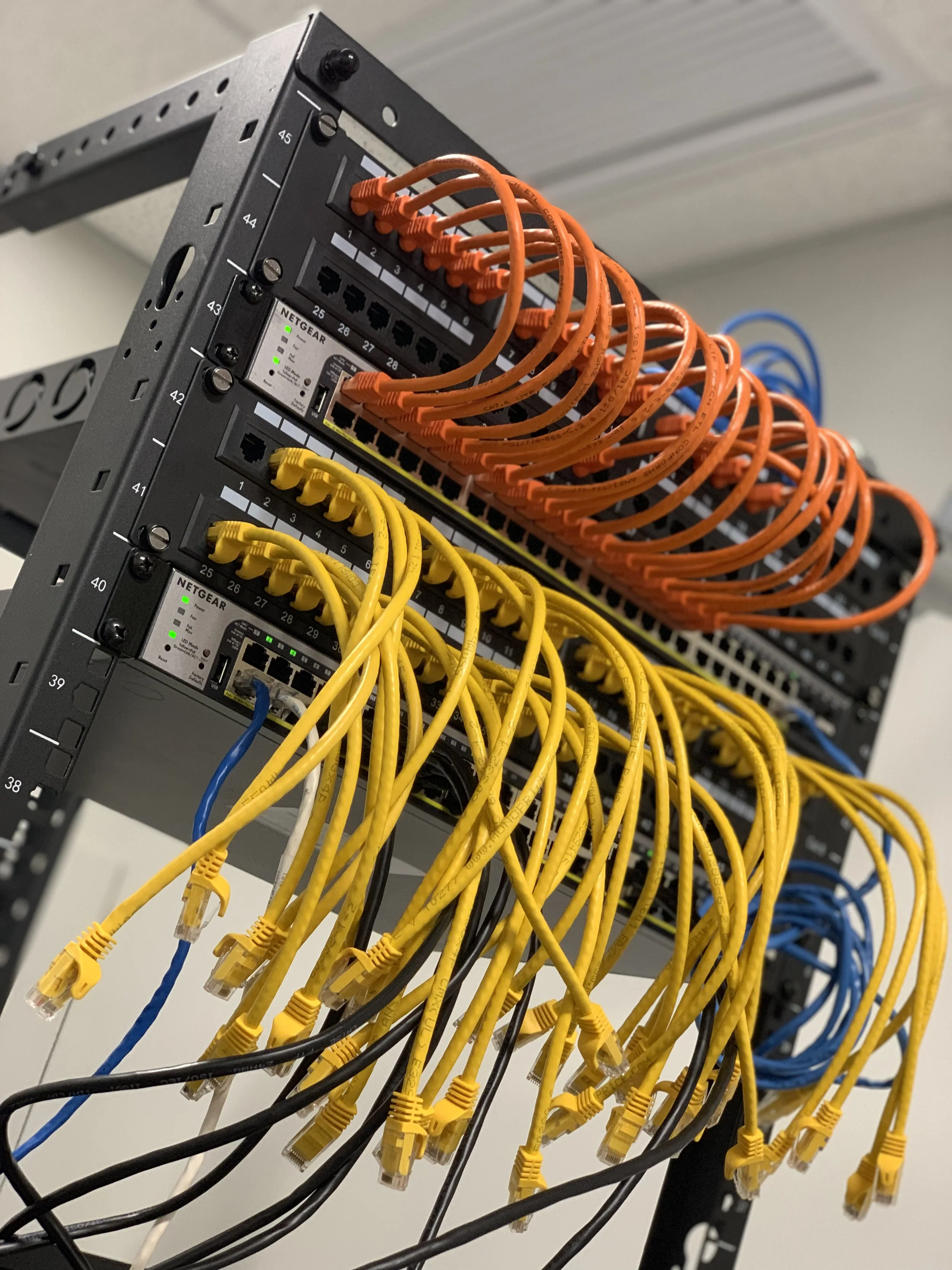 Cat6 7.jpg