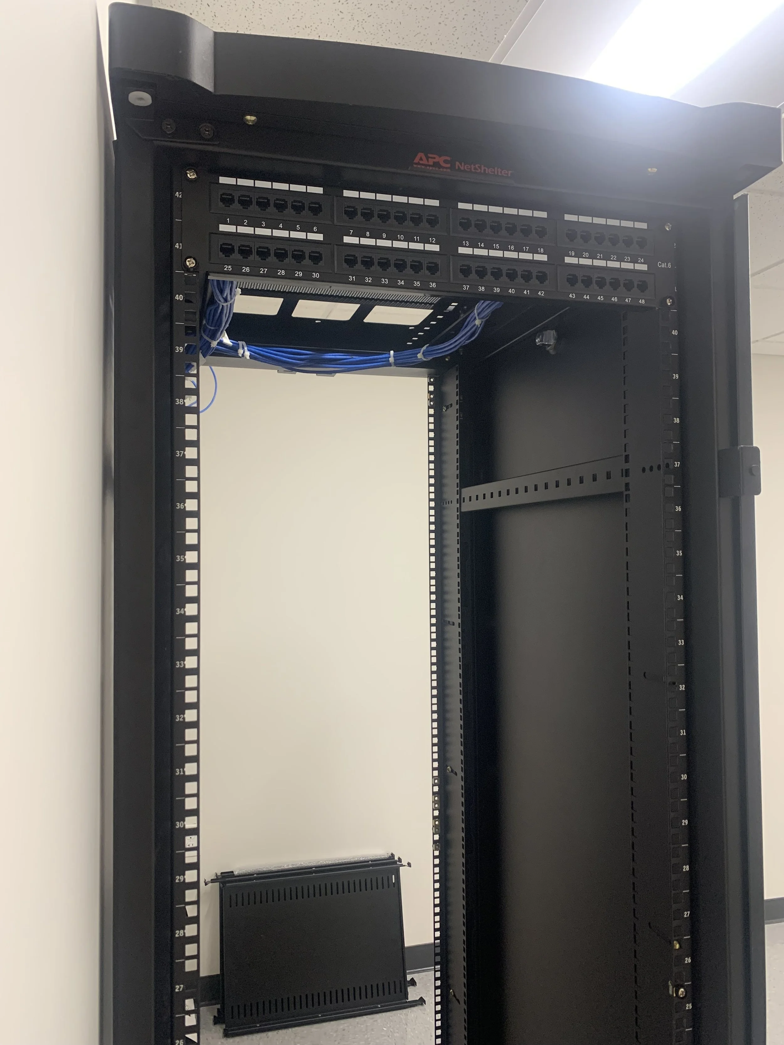 Cat6 10.jpg