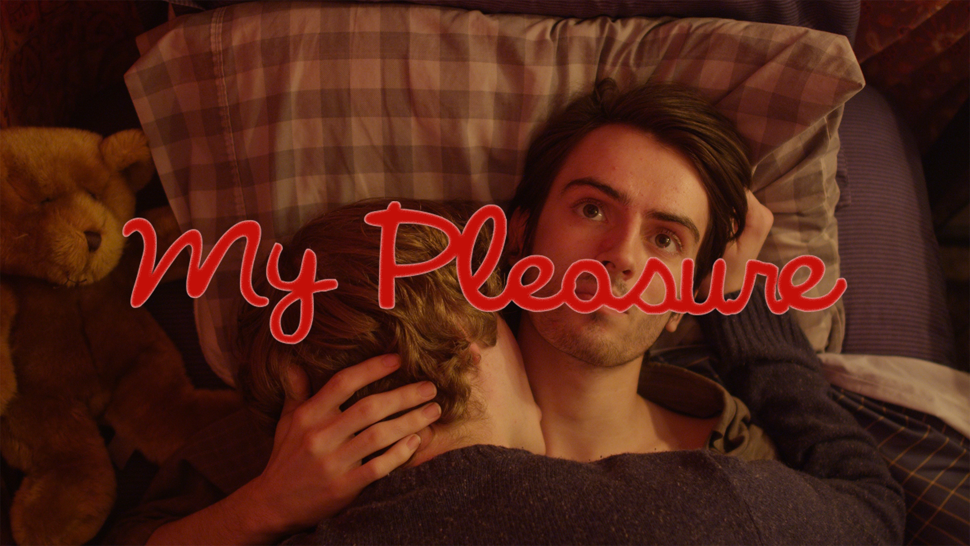my pleasure website still.png