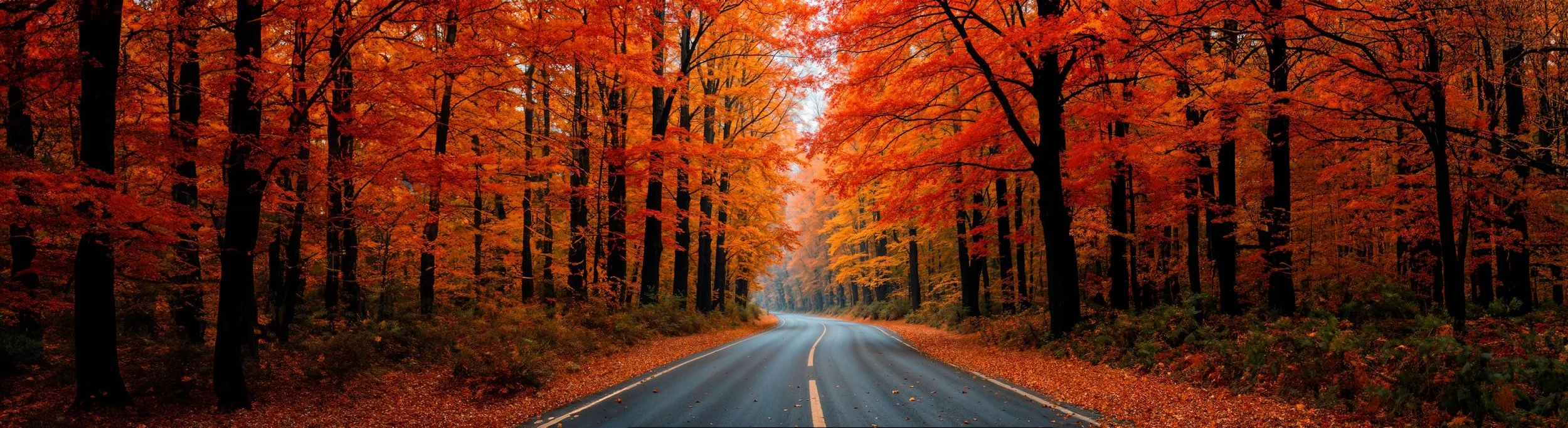 Home page banner.jpg