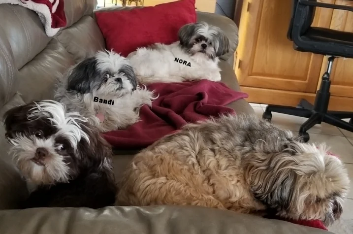 20180325_094001.jpg