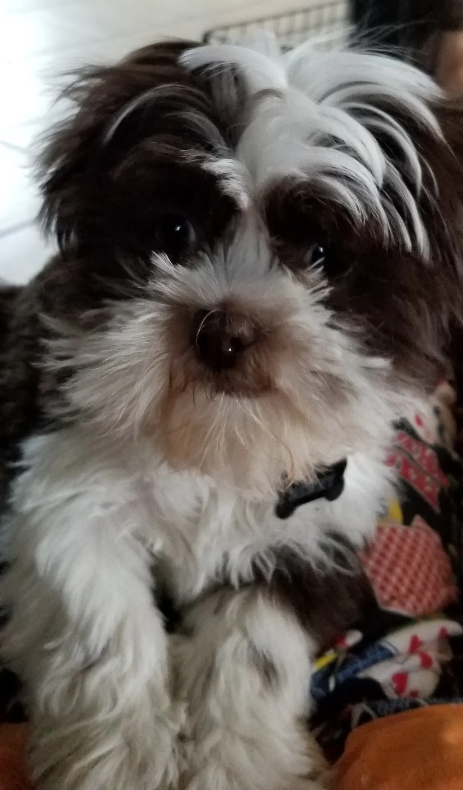 20180304_072428.jpg