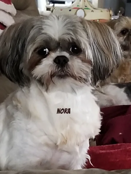 20180430_162914.jpg