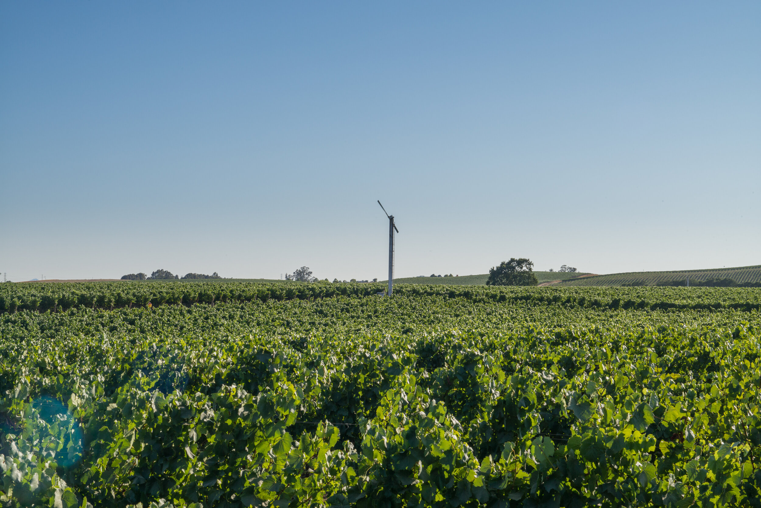 Hyde Vineyard Wine Machine.jpg