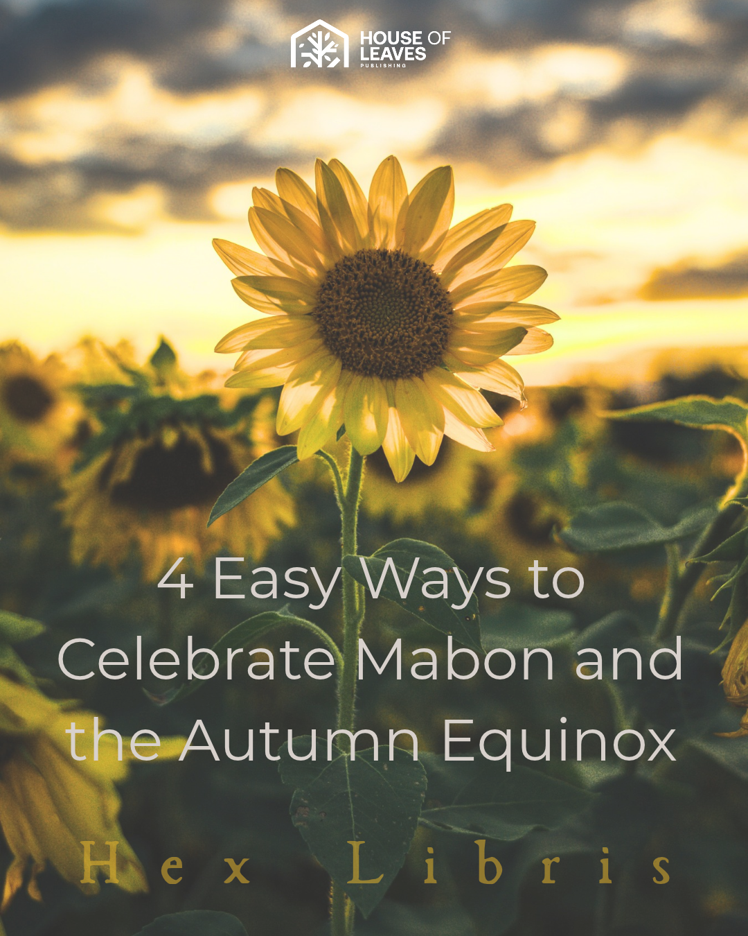 4 Easy Ways to Celebrate Mabon and the Autumn Equinox