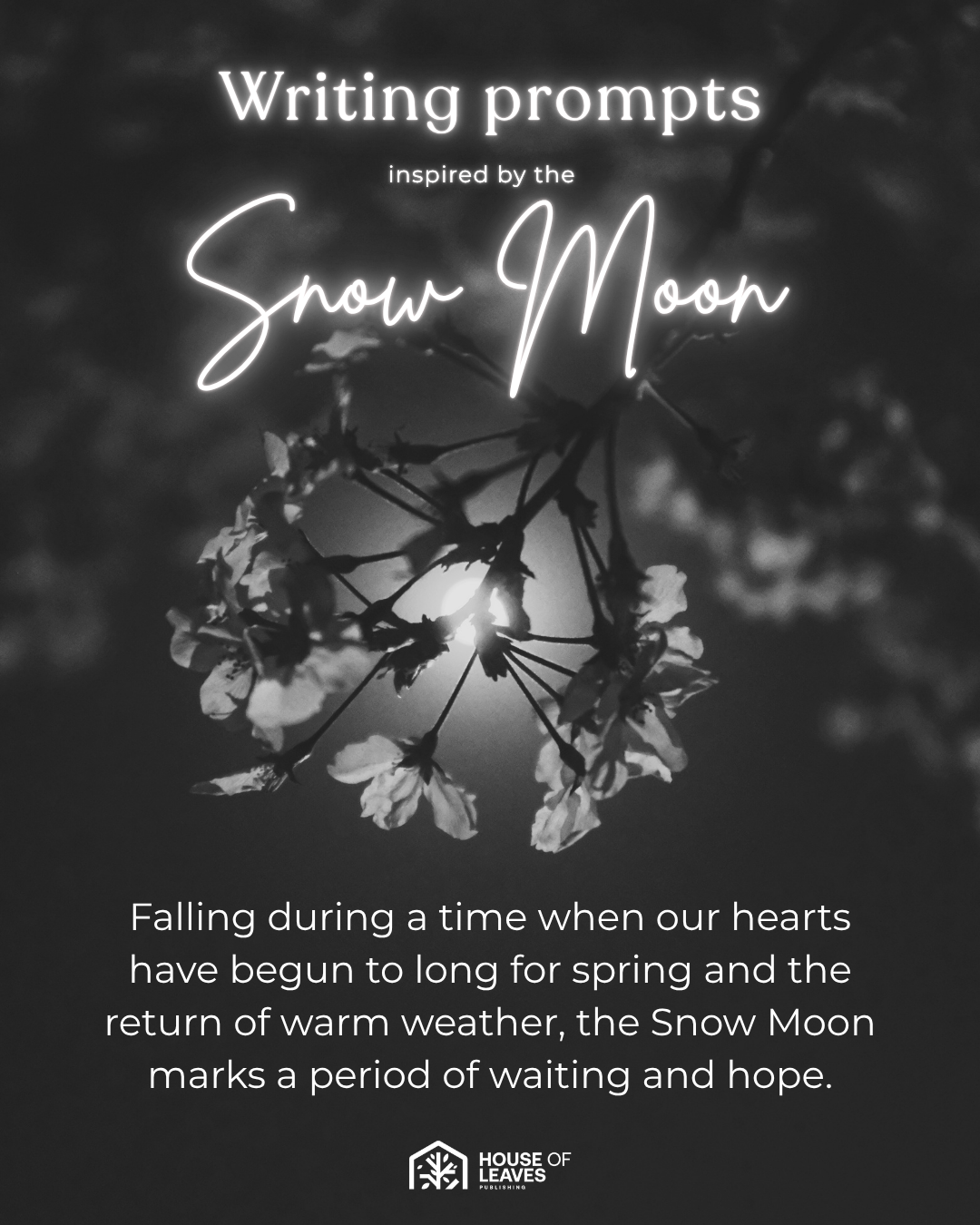 February - Snow Moon - Cover.png
