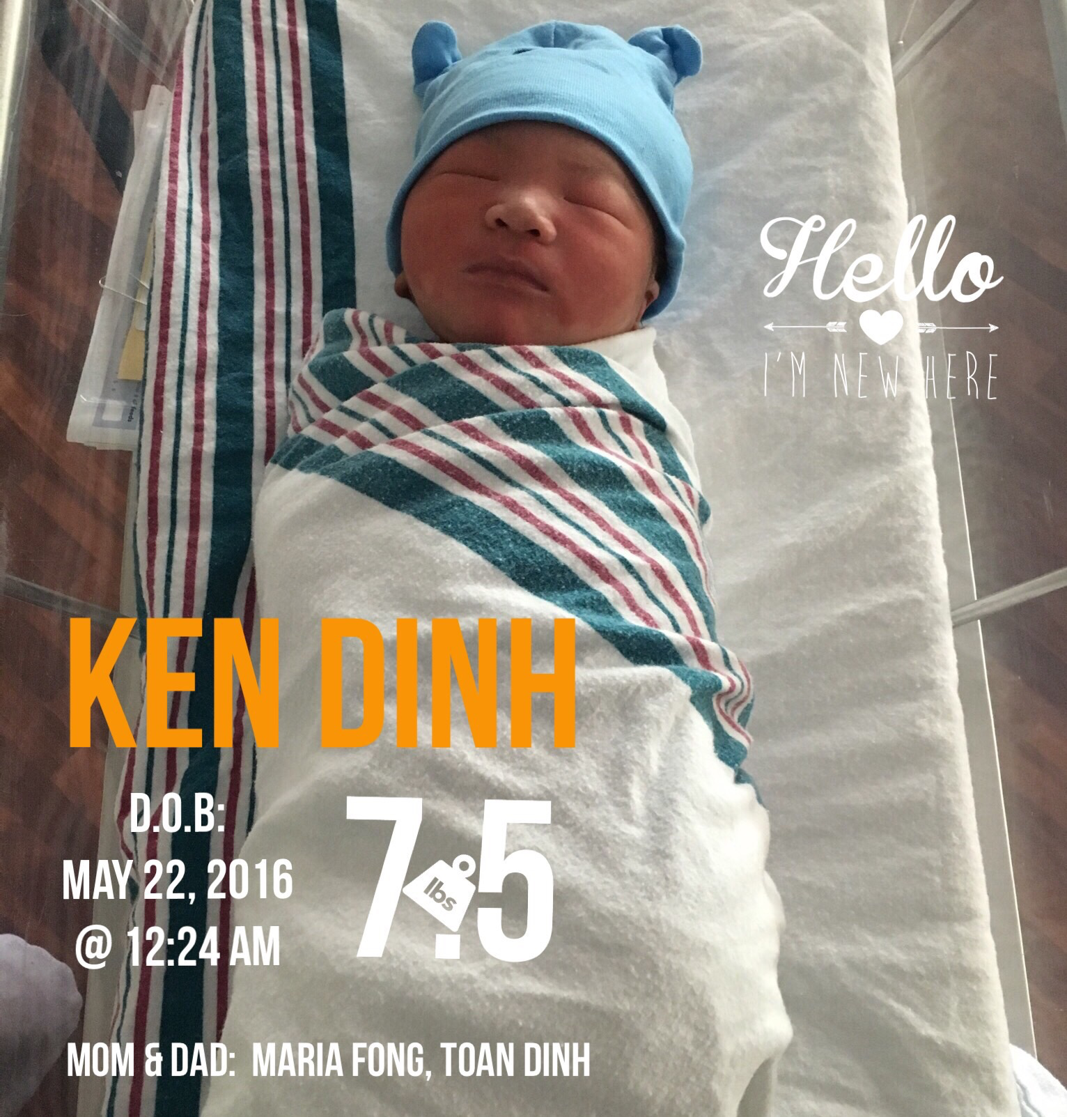 KD_IMG_0034.png