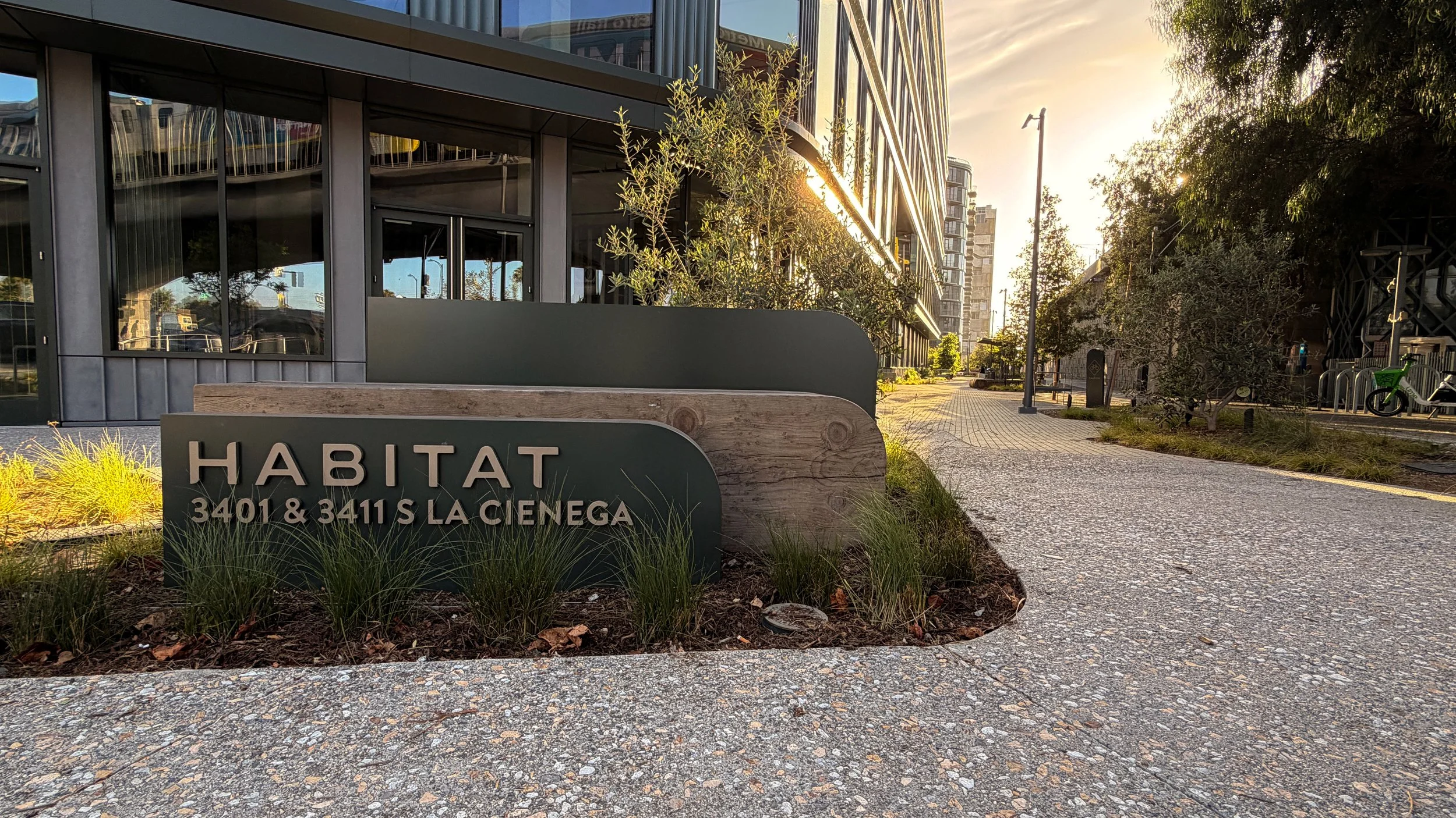 FOUND Habitat 1.jpg