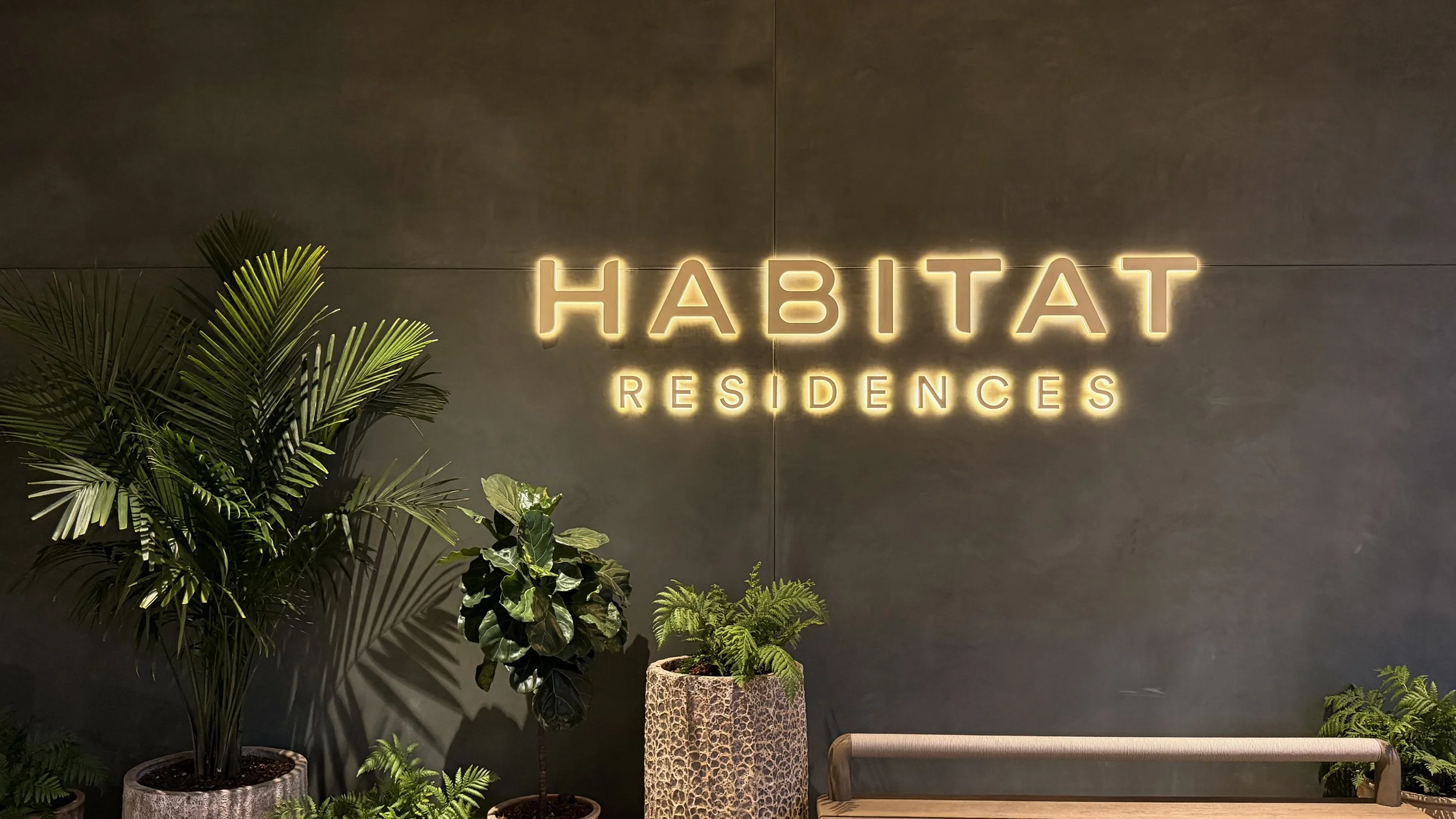 FOUND Habitat 37.jpg