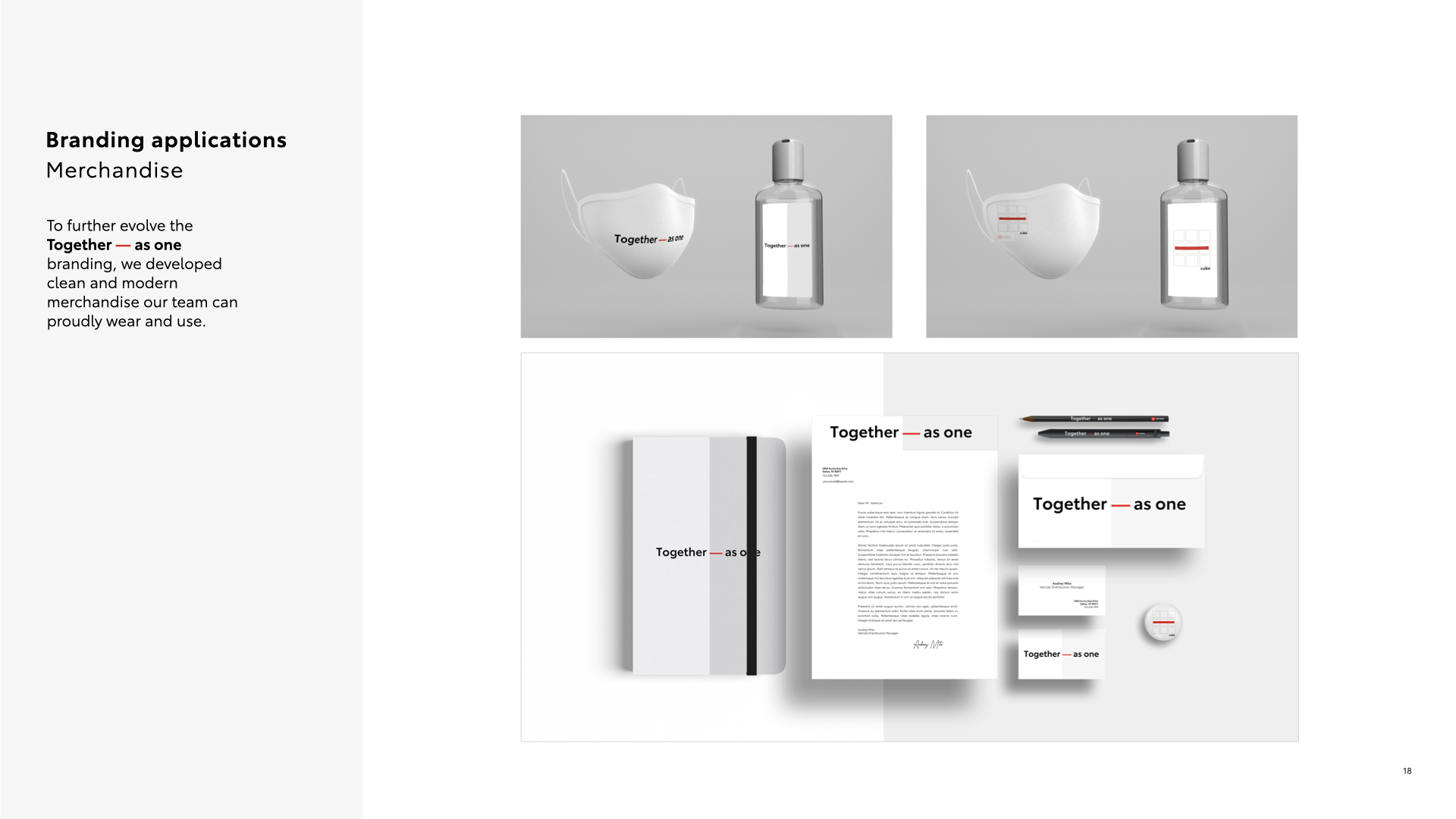 TMNA_DSM_Branding Story_Logo-Removed.018.png