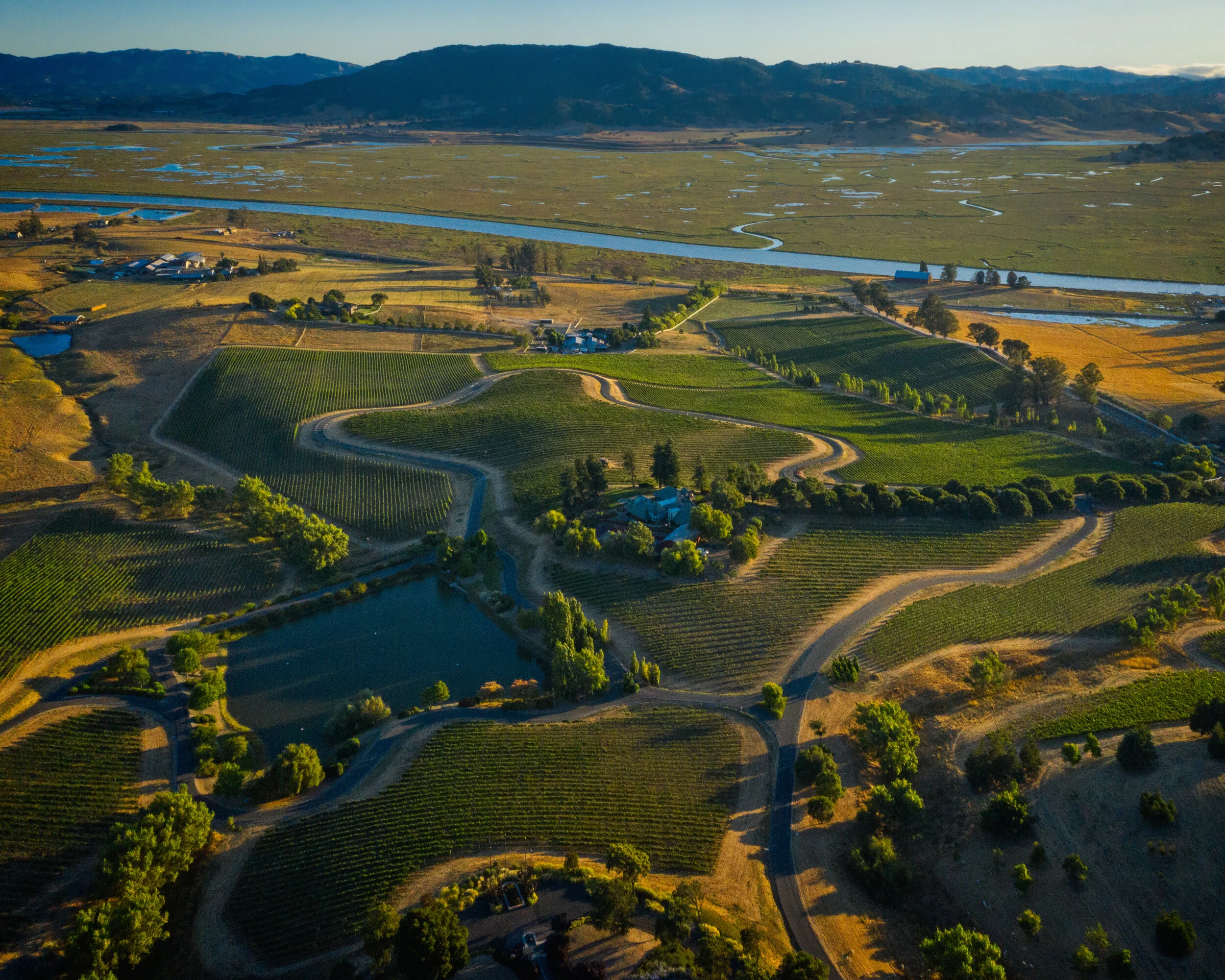 Keller Vineyards.jpg