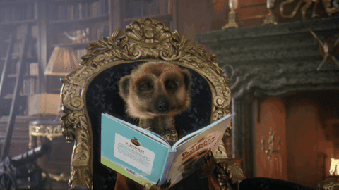 gif (6).gif