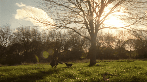 gif (12).gif