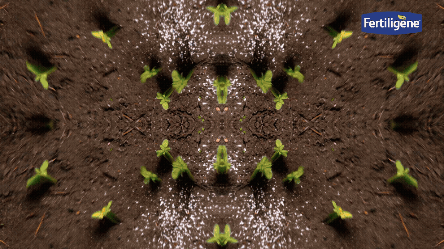 Convert to GIF project - 23 September 2026 at 19.45.11.gif