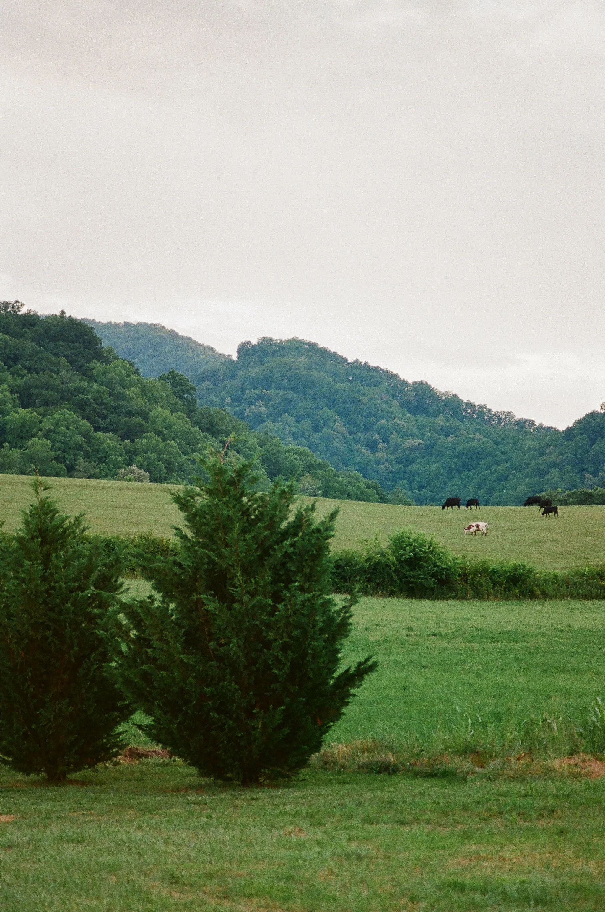 715258_0014.jpeg