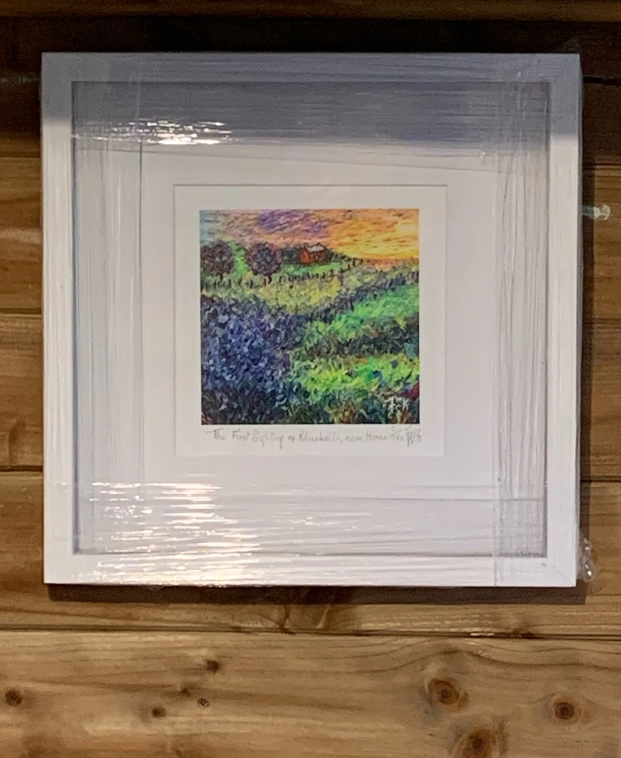 The First Sighting Of Bluebells at Home