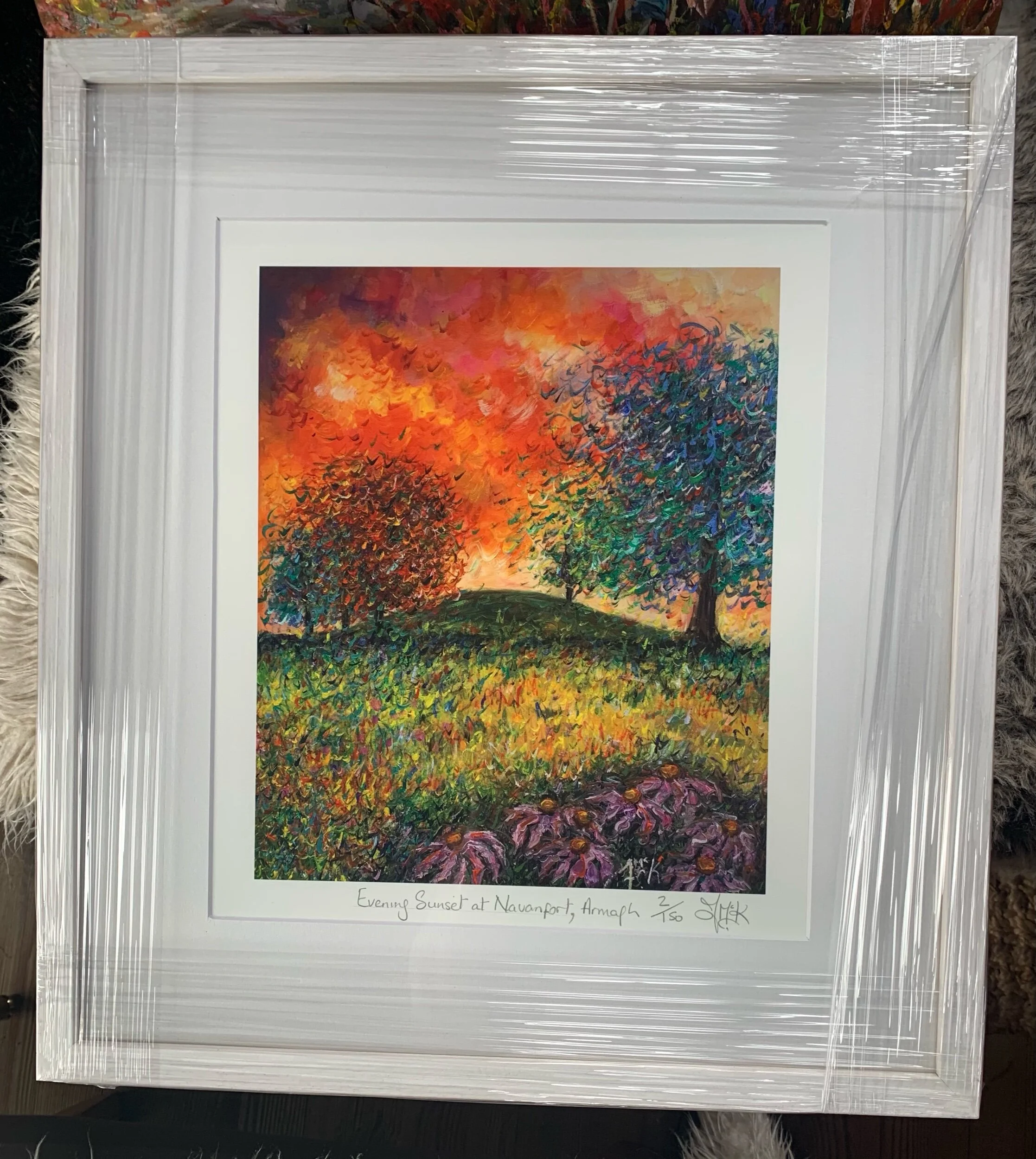 Evening Sunset at Navanfort , Armagh 