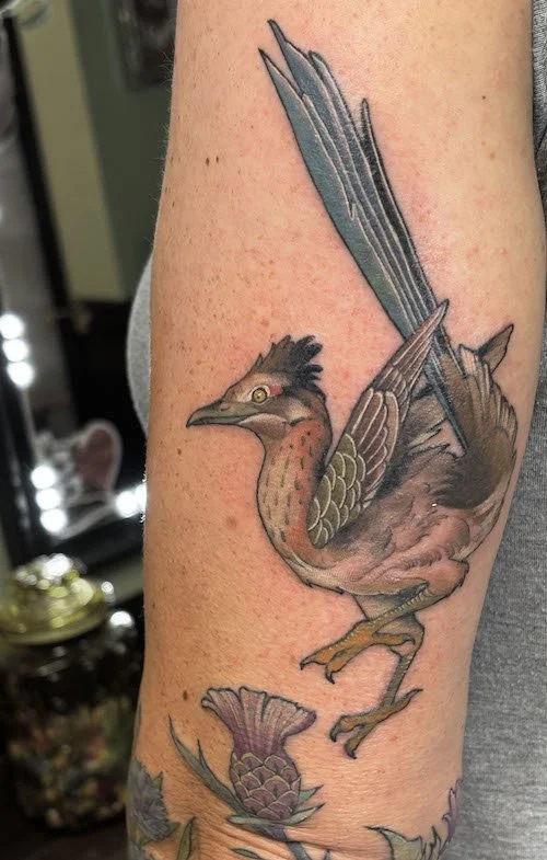 roadrunner.jpg