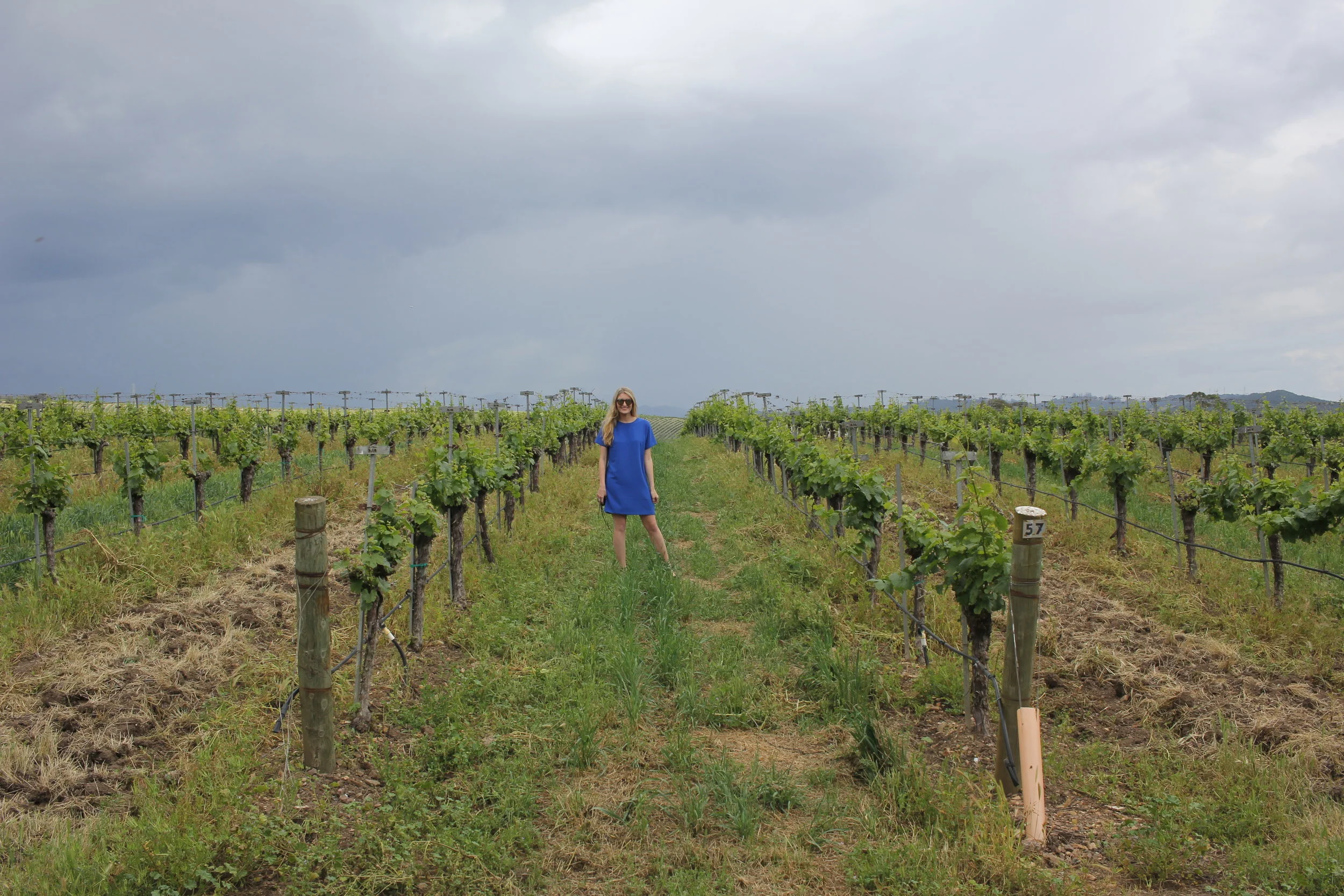 A SLOwer Paced Weekend