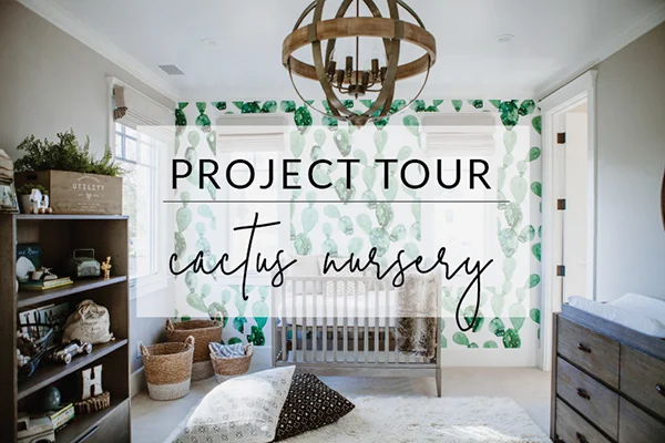 Cactus-Nursery-Project-Tour.jpg