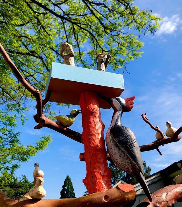 Observation deck recently added to the Tree of Bird Life. A new woodpecker inspects the intruders....Birders looking towards Central Oregon. Accepted into Art in the High Desert and carving a lot of birds. 🤞🏼it happens at the end of August. #woodsc