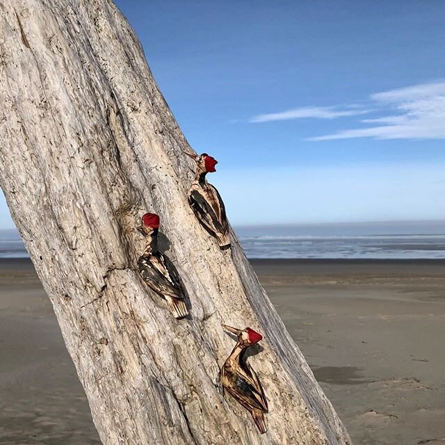 Morning with woodpeckers. These 3 slipped into my pocket and were early birds!!! #woodsculptures #woodpeckers #artoftravel #beachwalks #reliefprintmaking #meandering