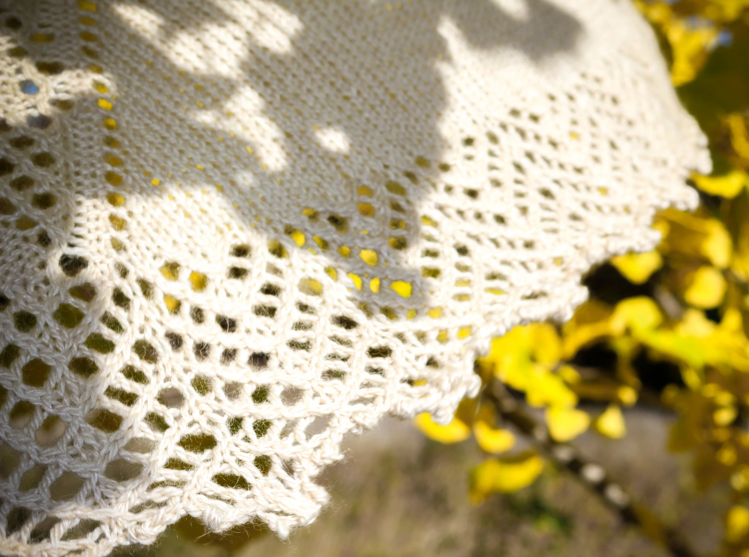 shawl3.jpg