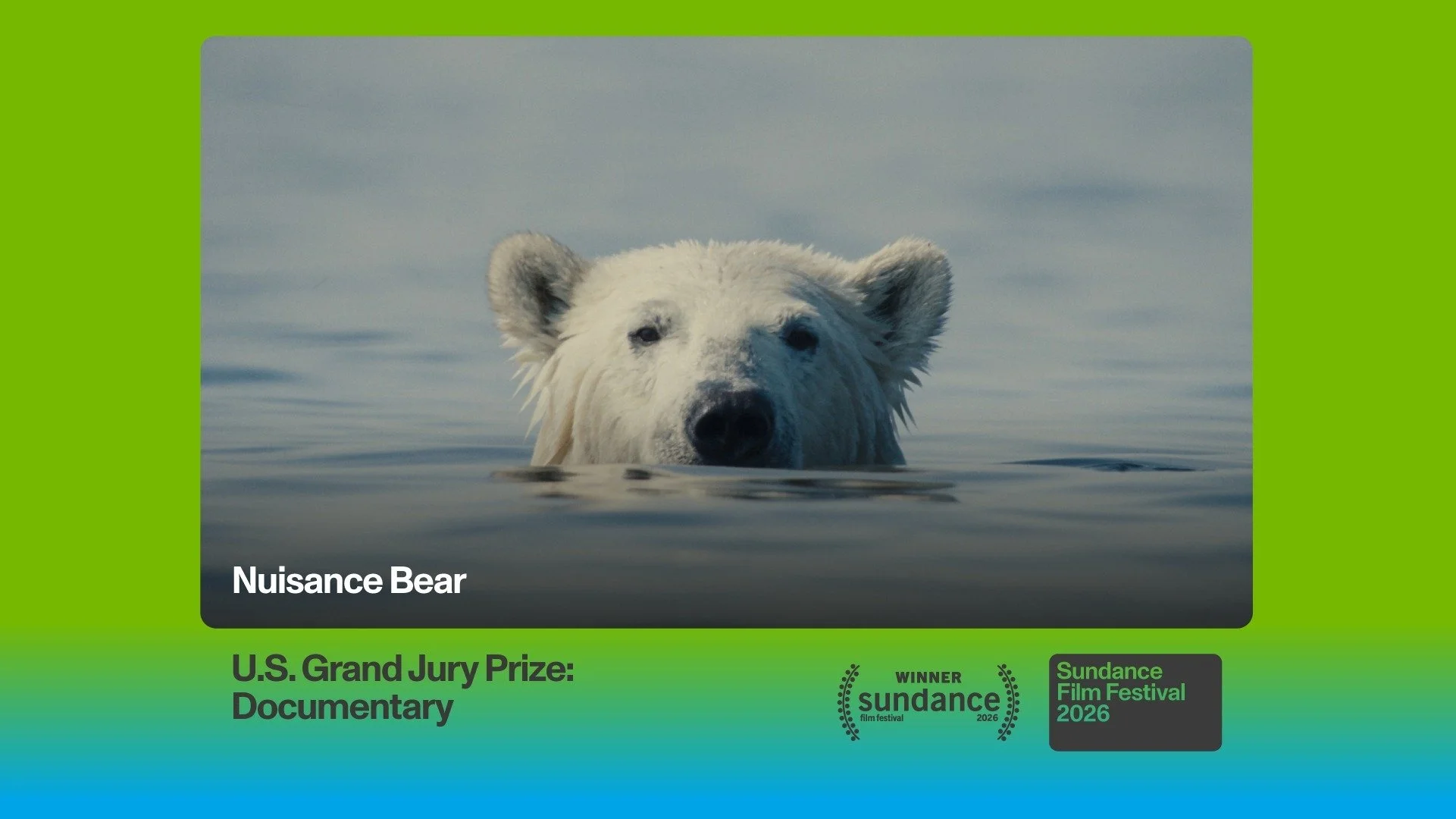Nuisance Bear: Sundance Grand Jury Prize