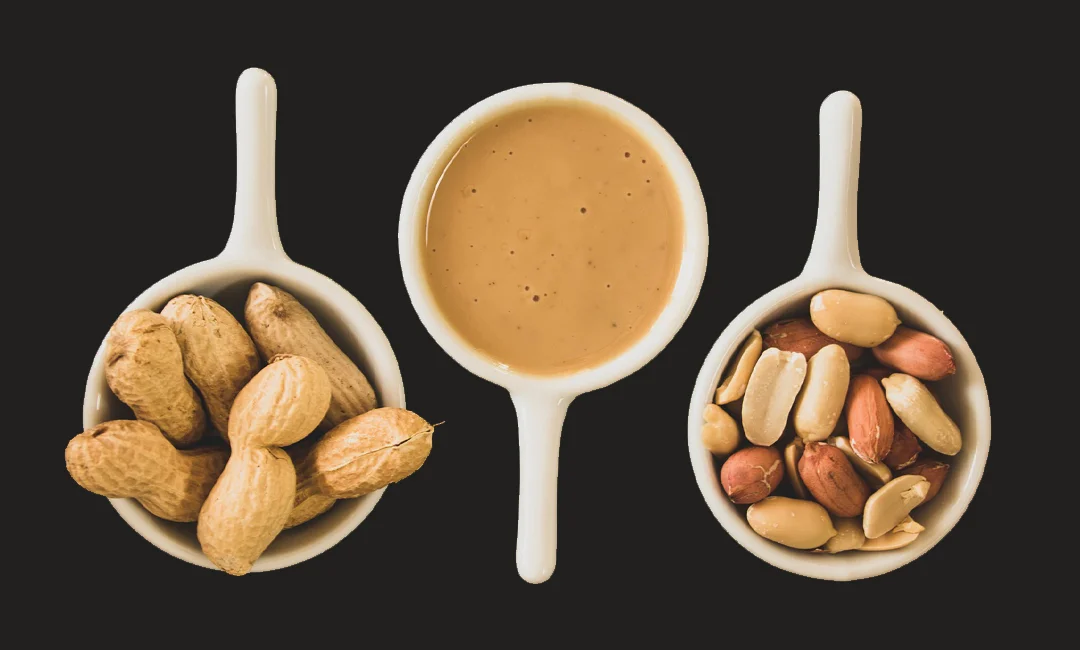 vegan peanut butter protein balls ingredients
