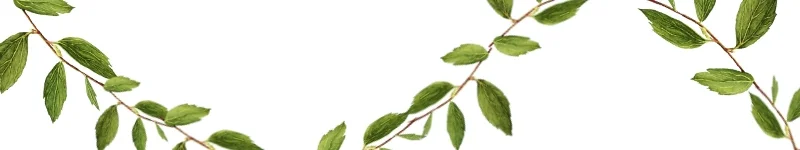 Header - About.jpg