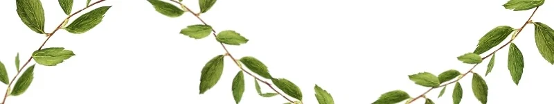 Header+-+About.jpg