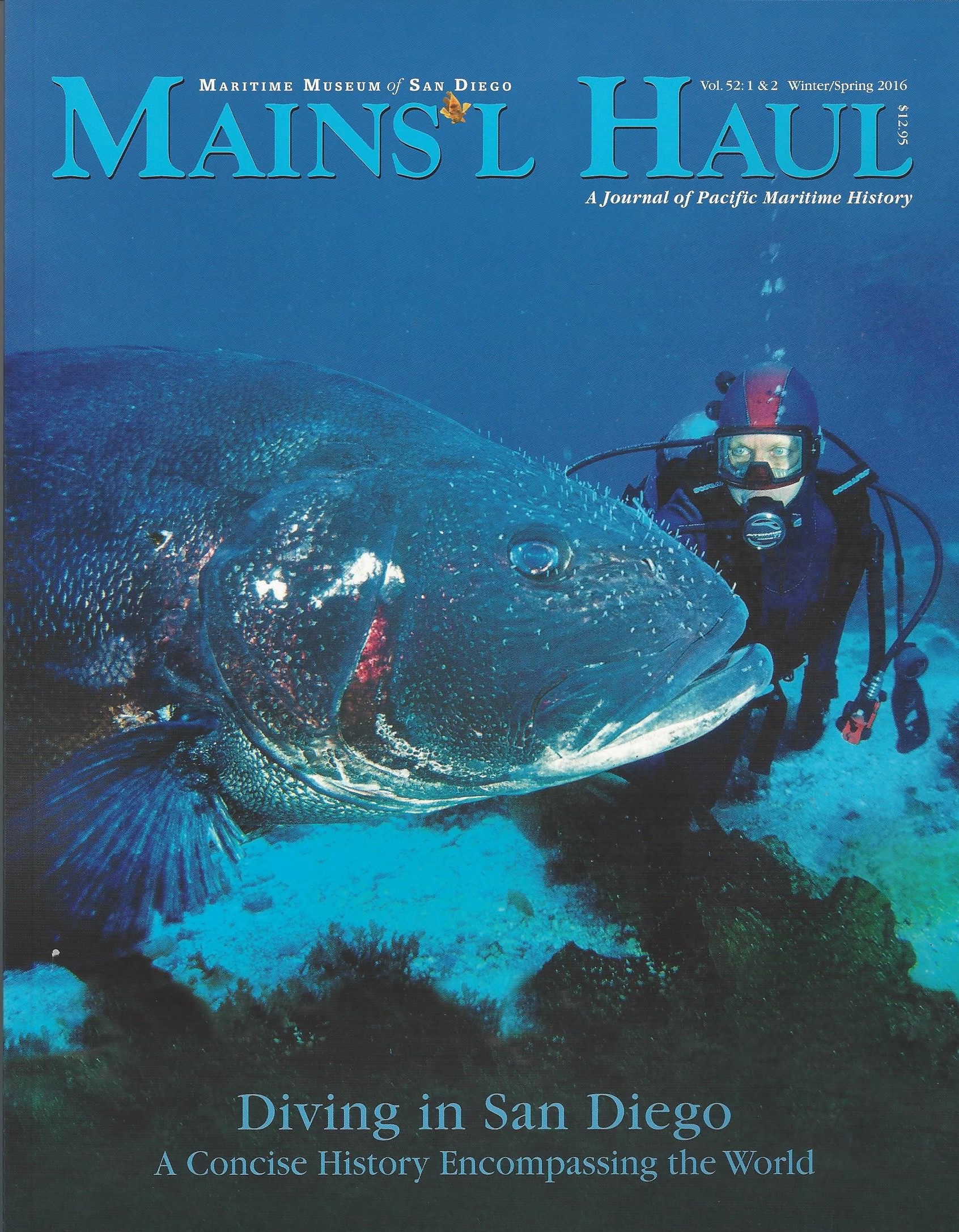 Dive Issue.jpg