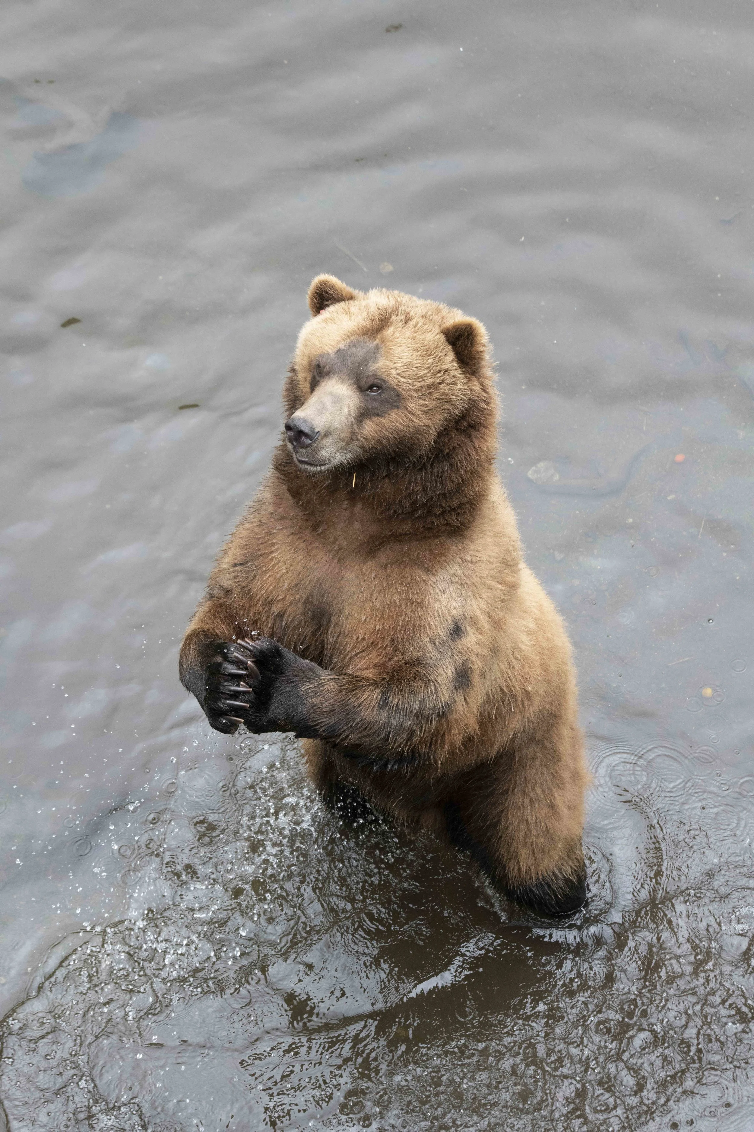 Praying for Salmon Doc.jpg