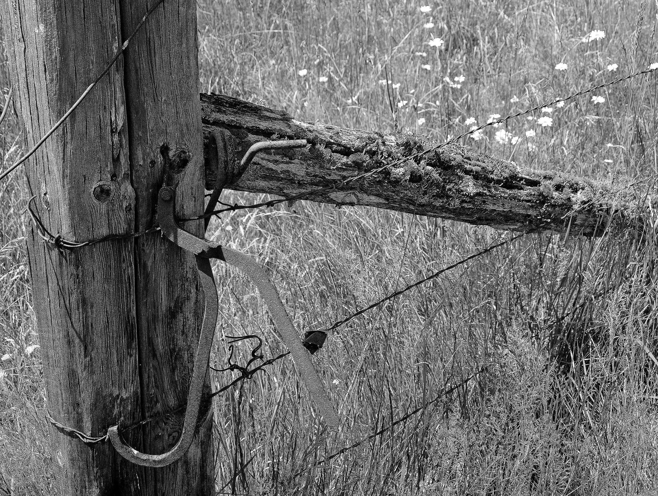 SL_001 Fence