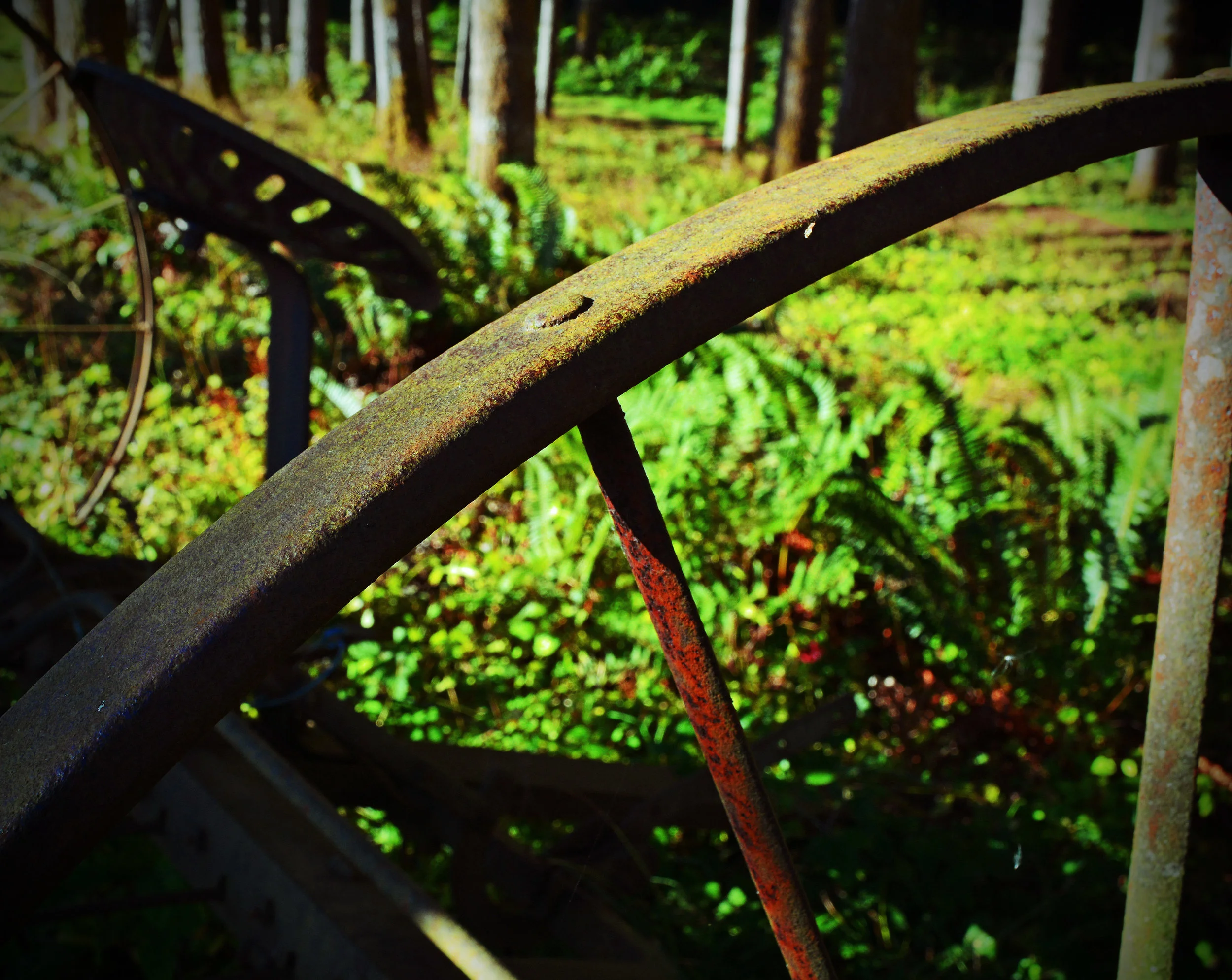 SL_002 Wagon Wheel