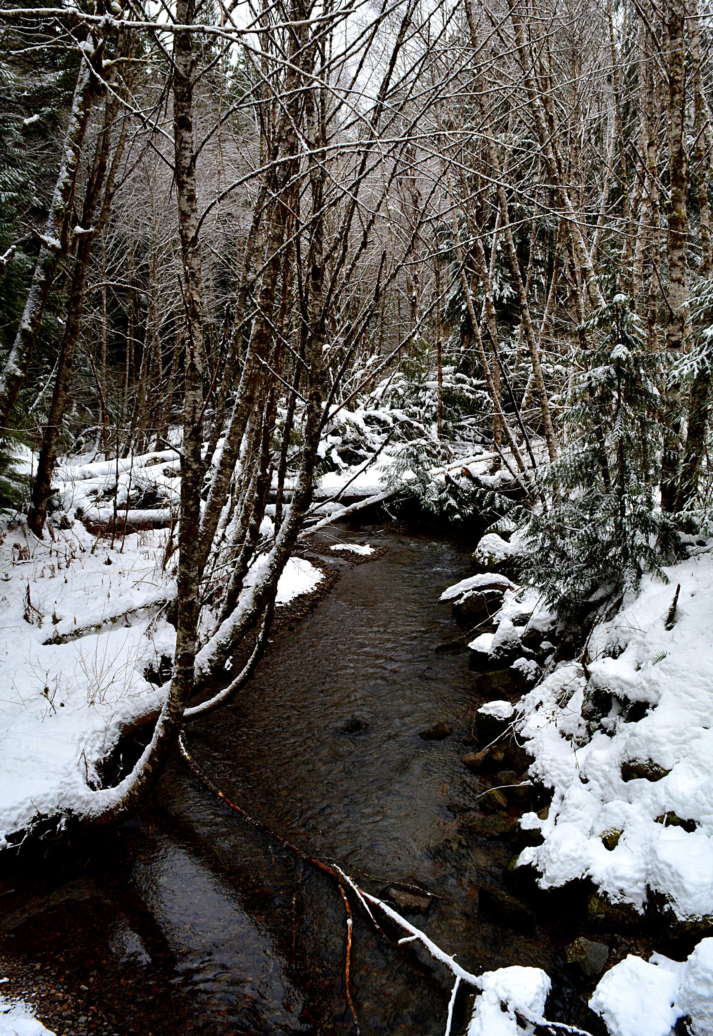 WAS035 Winter_Creek.JPG