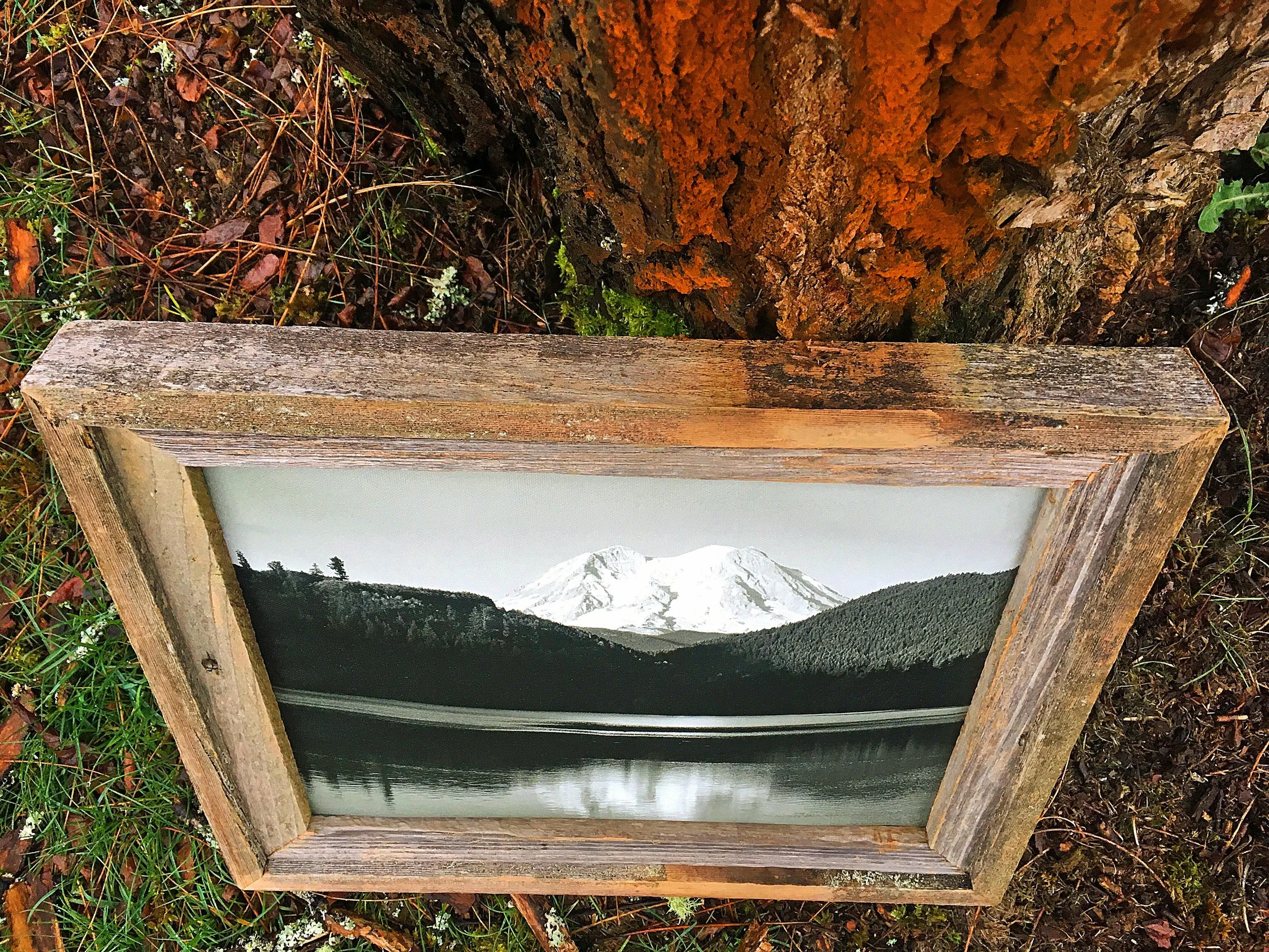 rainierwframe5.jpg