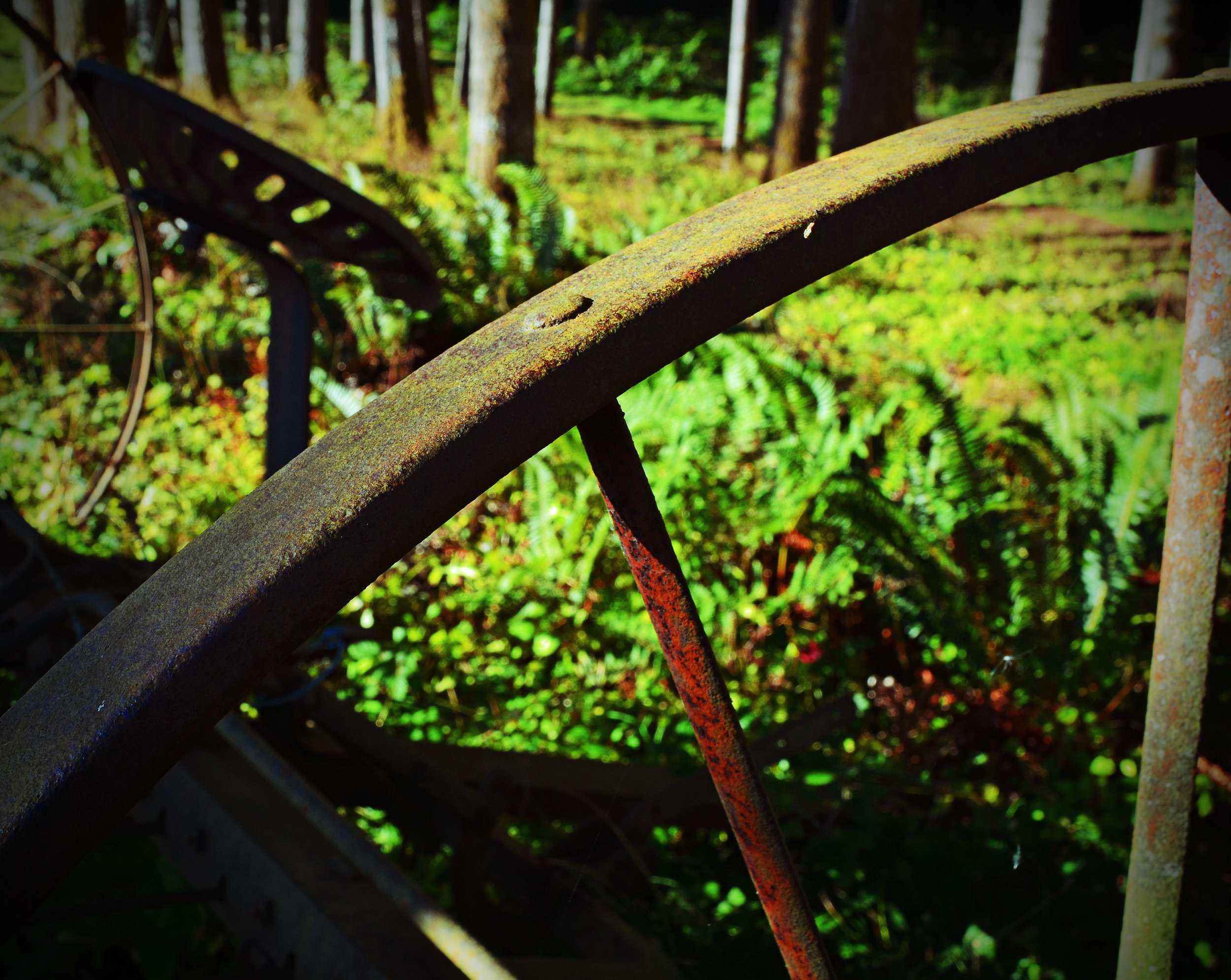 FA001 Rake Wheel lomo.jpg
