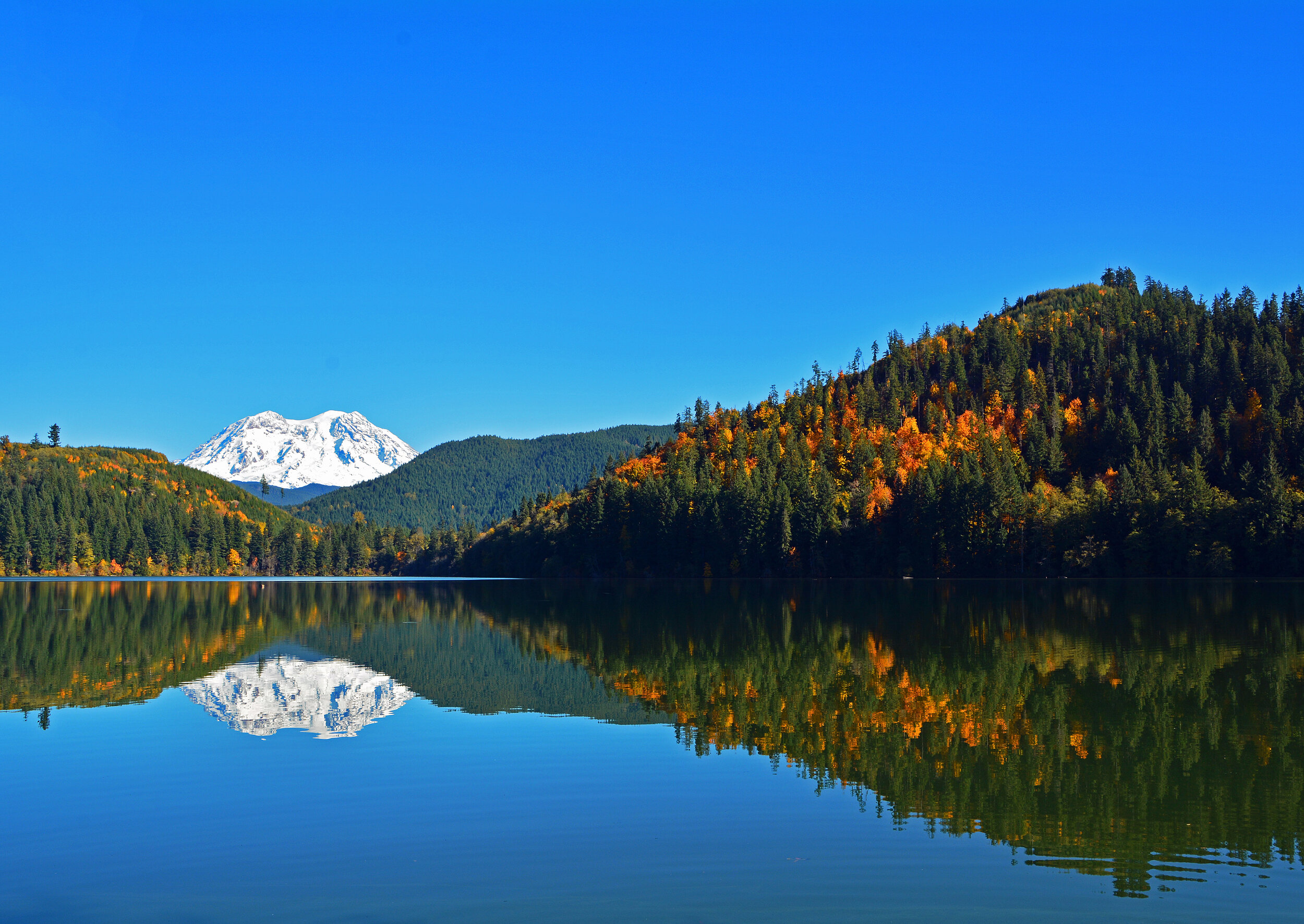 Mount Rainier Fall Reflection