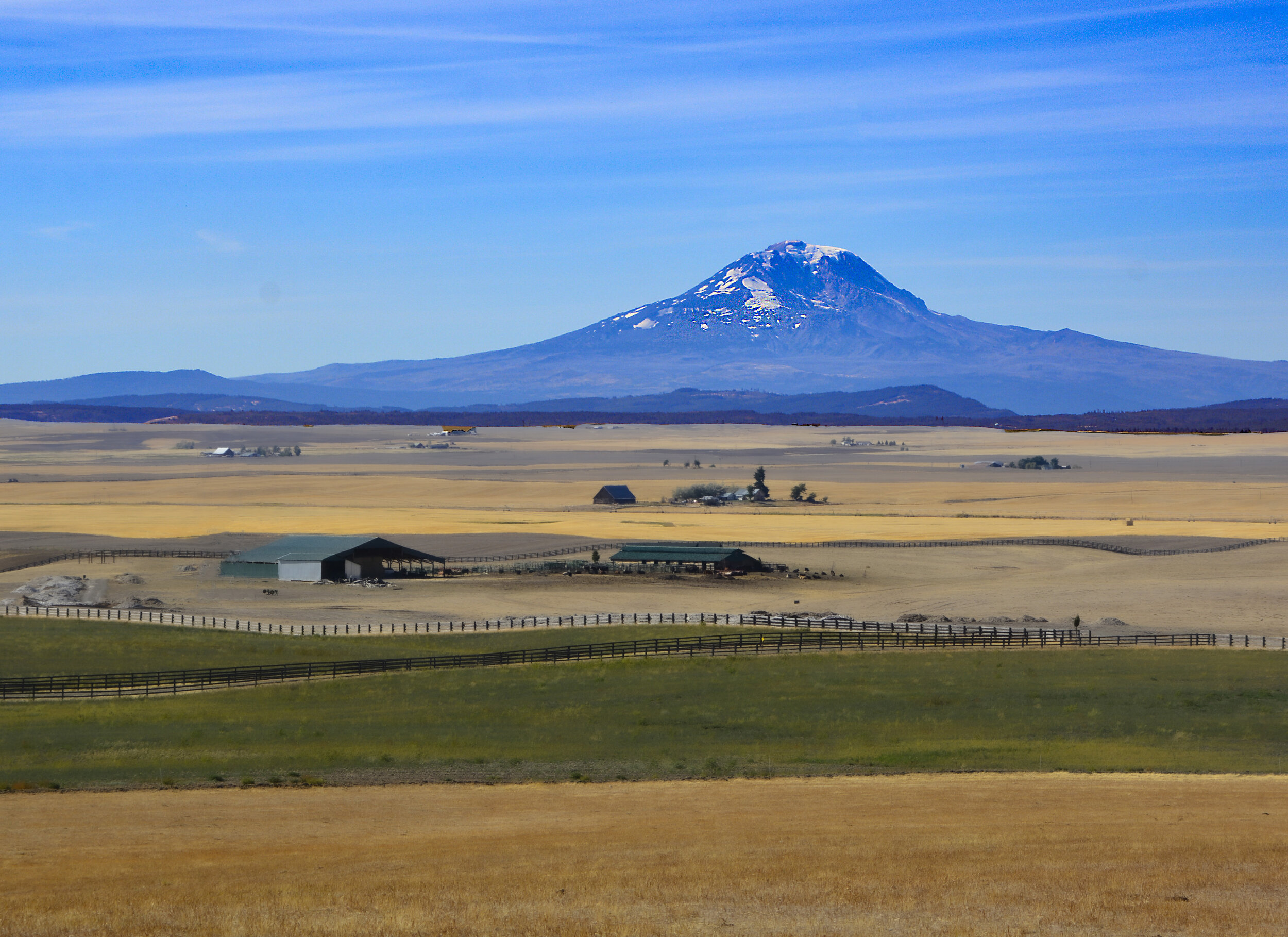 Mt. Adams and Kittitas Farmland